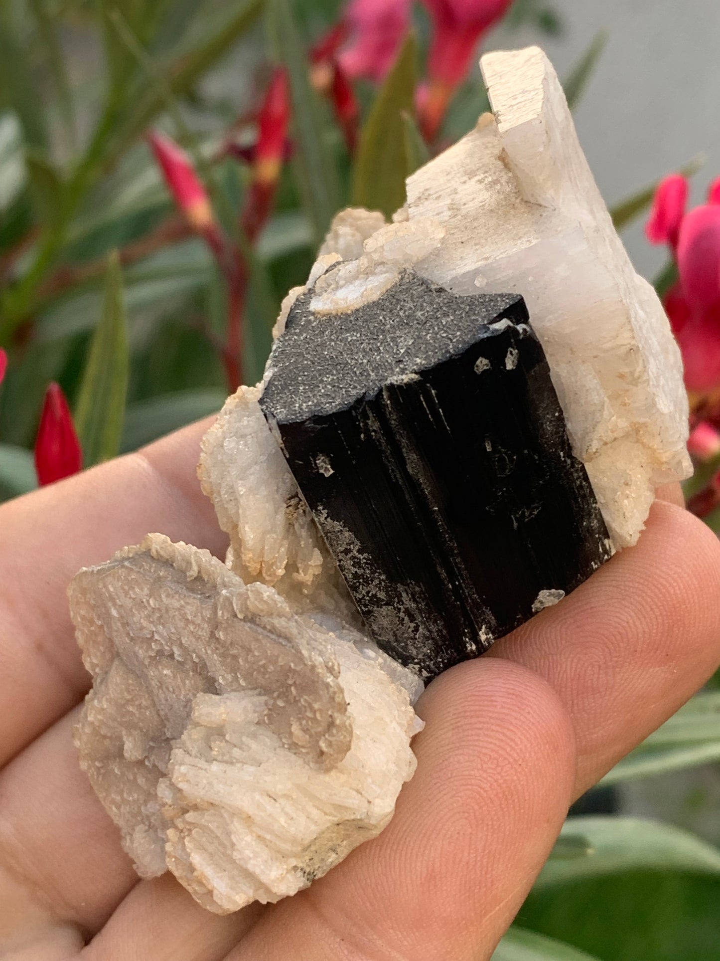 Black Tourmaline, natural specimen of 80 x 50 x 36 mm - 117 grams. A very beautiful tourmaline on Quartz and Muscovite!
