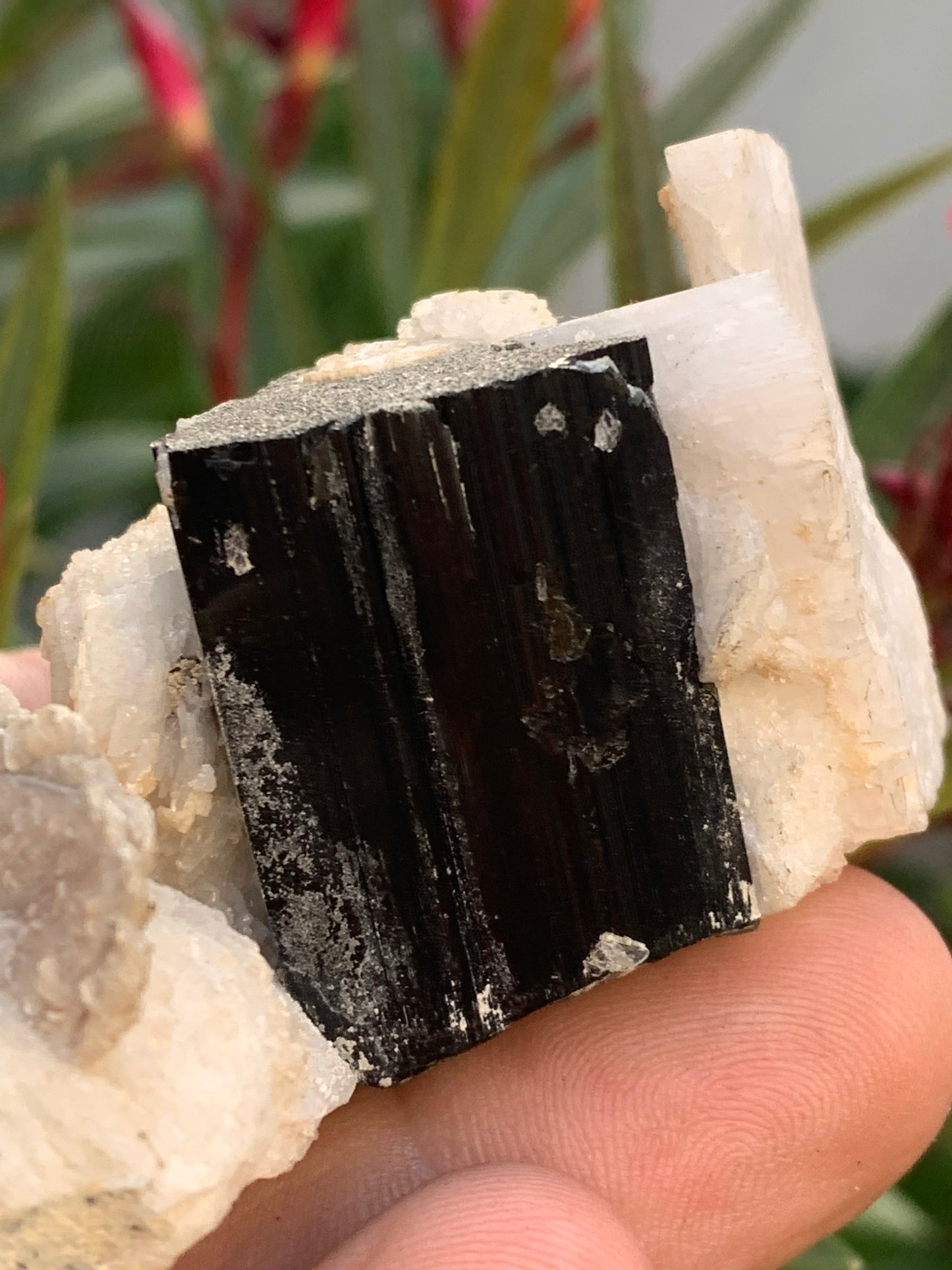Black Tourmaline, natural specimen of 80 x 50 x 36 mm - 117 grams. A very beautiful tourmaline on Quartz and Muscovite!