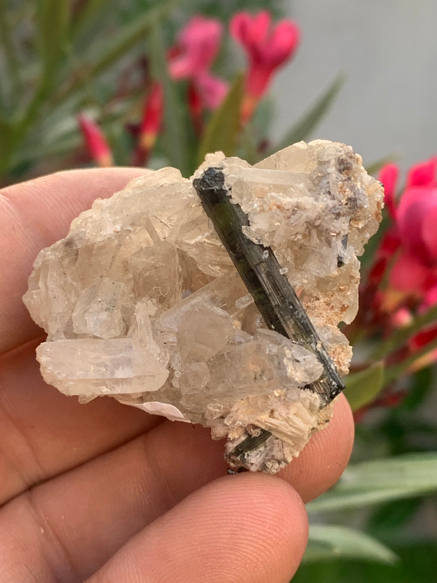 Tourmaline verte/ Verdélite sur cristal de quartz, spécimen naturel de 47 x 40 x 36 mm - 38,7 grammes environ. Magnifique pièce de verdélite au milieu de cristaux de quartz facettés !