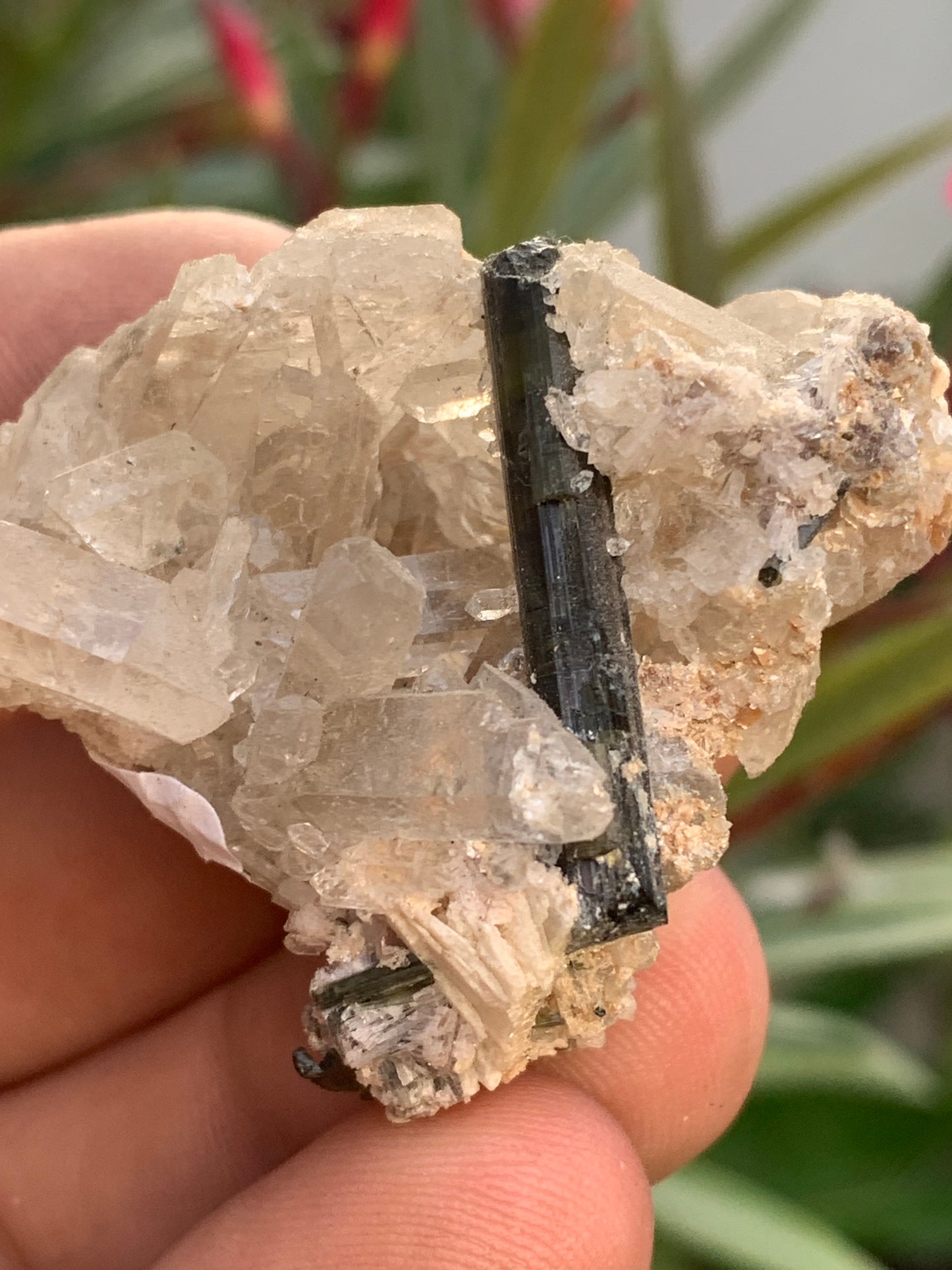 Tourmaline verte/ Verdélite sur cristal de quartz, spécimen naturel de 47 x 40 x 36 mm - 38,7 grammes environ. Magnifique pièce de verdélite au milieu de cristaux de quartz facettés !