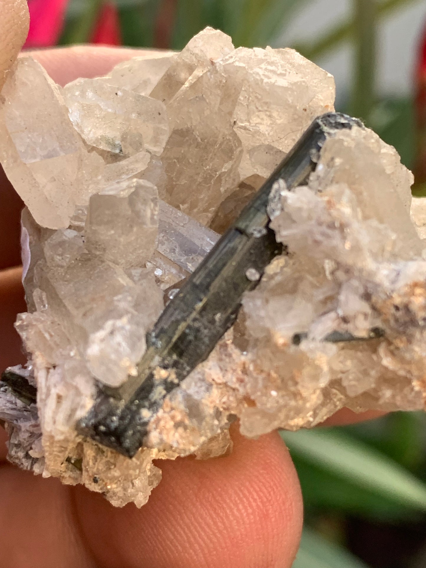 Tourmaline verte/ Verdélite sur cristal de quartz, spécimen naturel de 47 x 40 x 36 mm - 38,7 grammes environ. Magnifique pièce de verdélite au milieu de cristaux de quartz facettés !