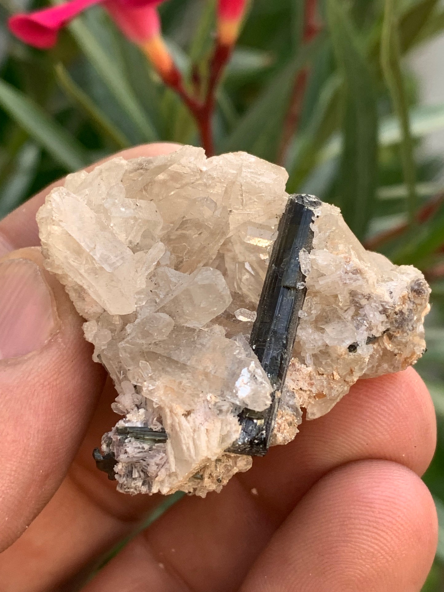 Tourmaline verte/ Verdélite sur cristal de quartz, spécimen naturel de 47 x 40 x 36 mm - 38,7 grammes environ. Magnifique pièce de verdélite au milieu de cristaux de quartz facettés !