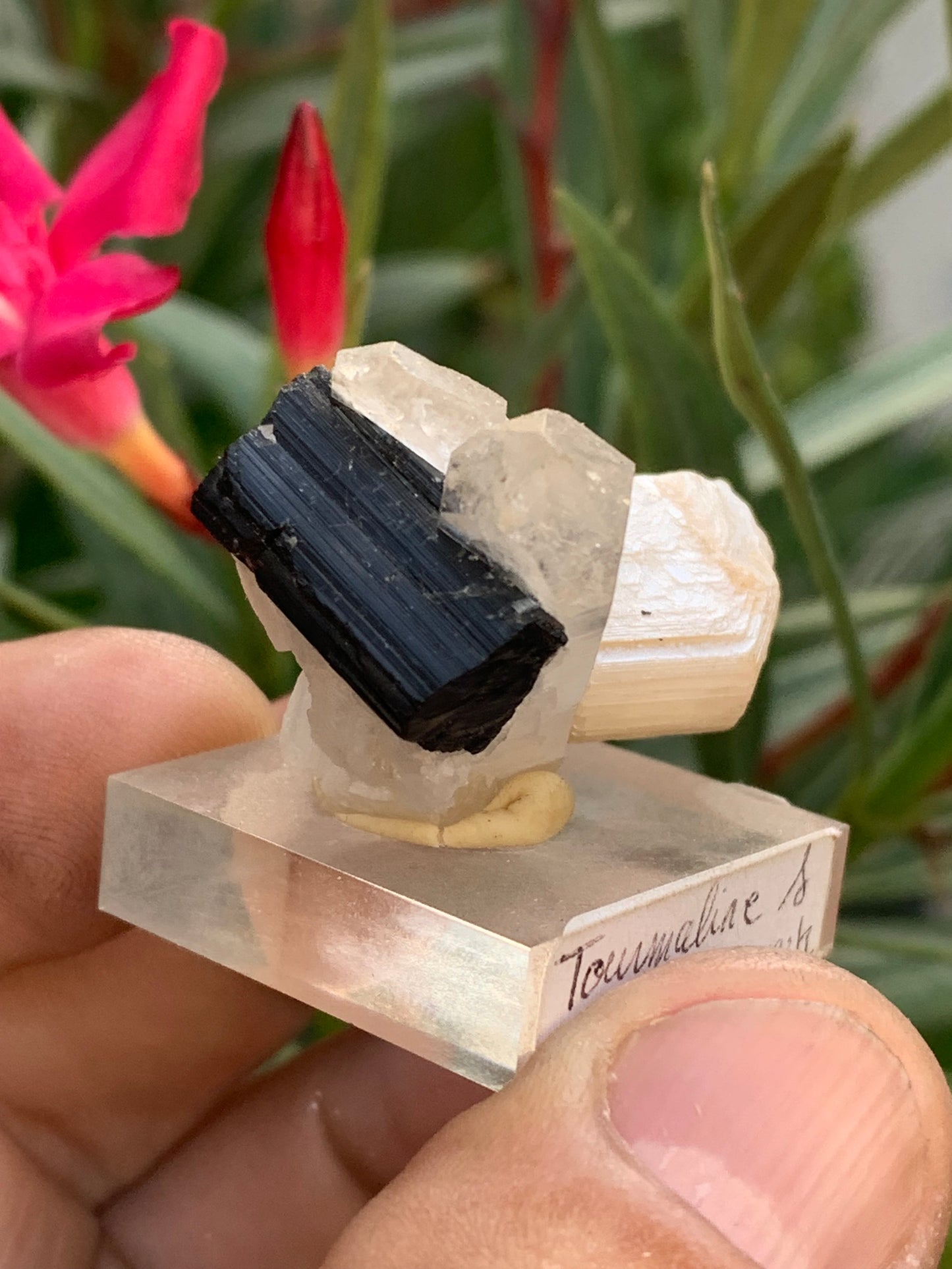 Black Tourmaline, natural specimen measuring 38 x 26 x 23 mm - 19.5 grams. A very beautiful tourmaline on Quartz and green Kunzite!
