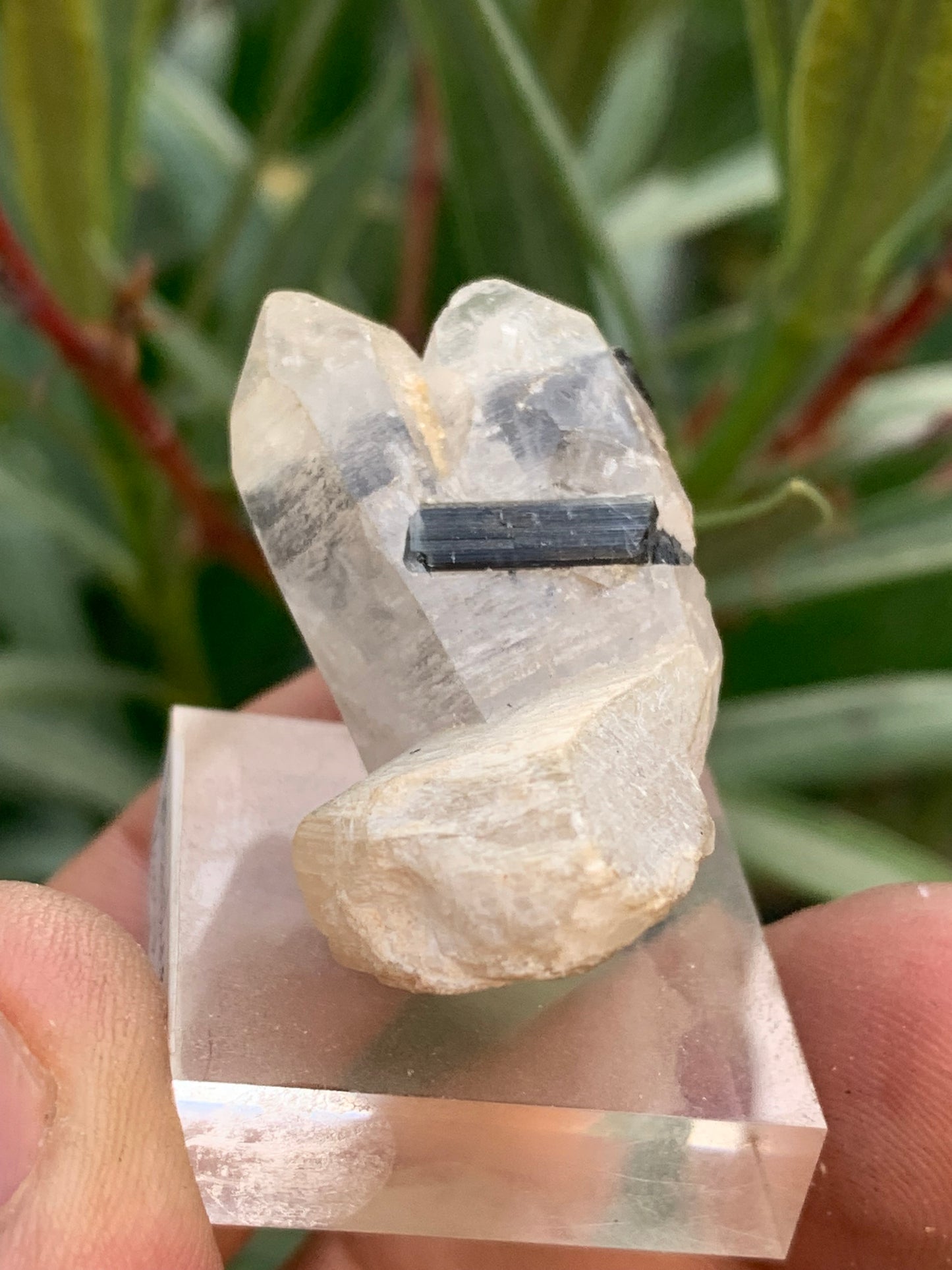 Black Tourmaline, natural specimen measuring 38 x 26 x 23 mm - 19.5 grams. A very beautiful tourmaline on Quartz and green Kunzite!