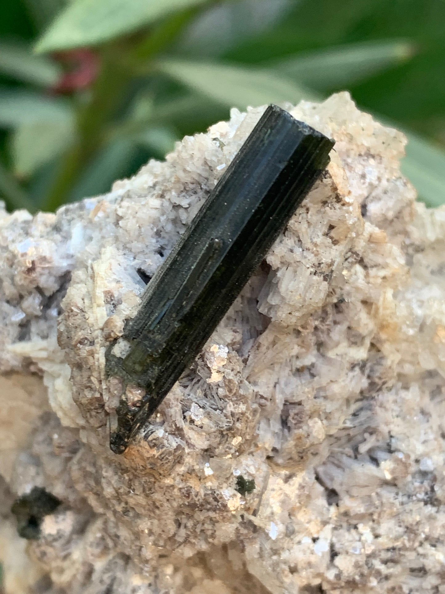 Tourmaline verte/ Verdélite sur cristal de quartz, spécimen naturel de 80 x 62 x 60 mm - 267 grammes environ. D’innombrables cristaux sur macle !