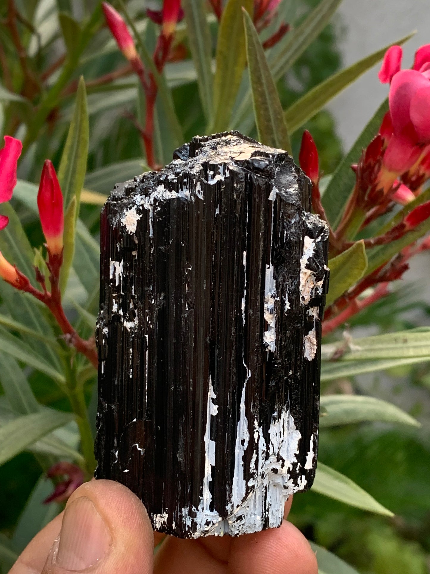 Black tourmaline, natural specimen measuring 65 x 49 x 45 mm - 248.2 grams. A very beautiful tourmaline block!