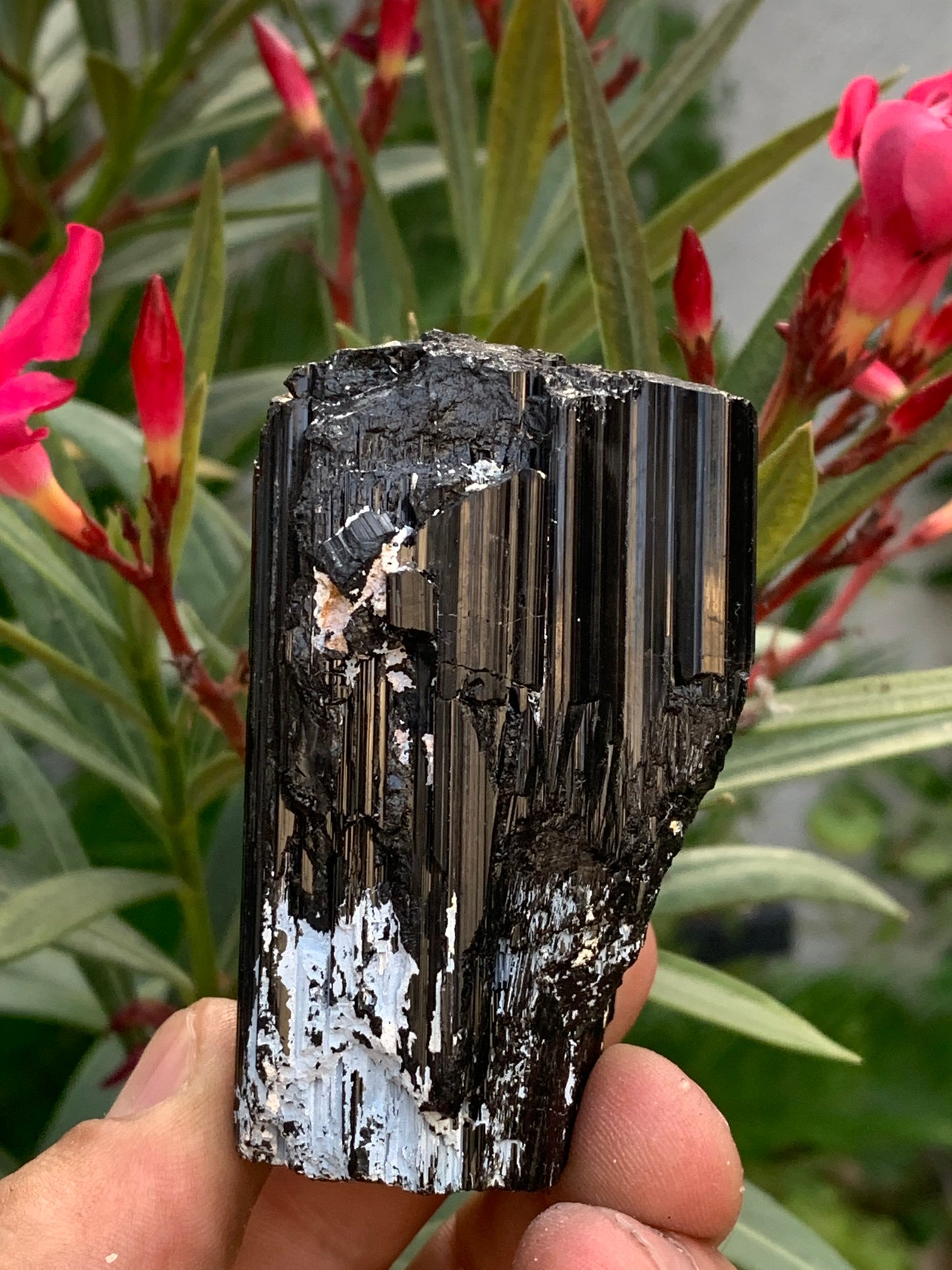 Black tourmaline, natural specimen measuring 65 x 49 x 45 mm - 248.2 grams. A very beautiful tourmaline block!