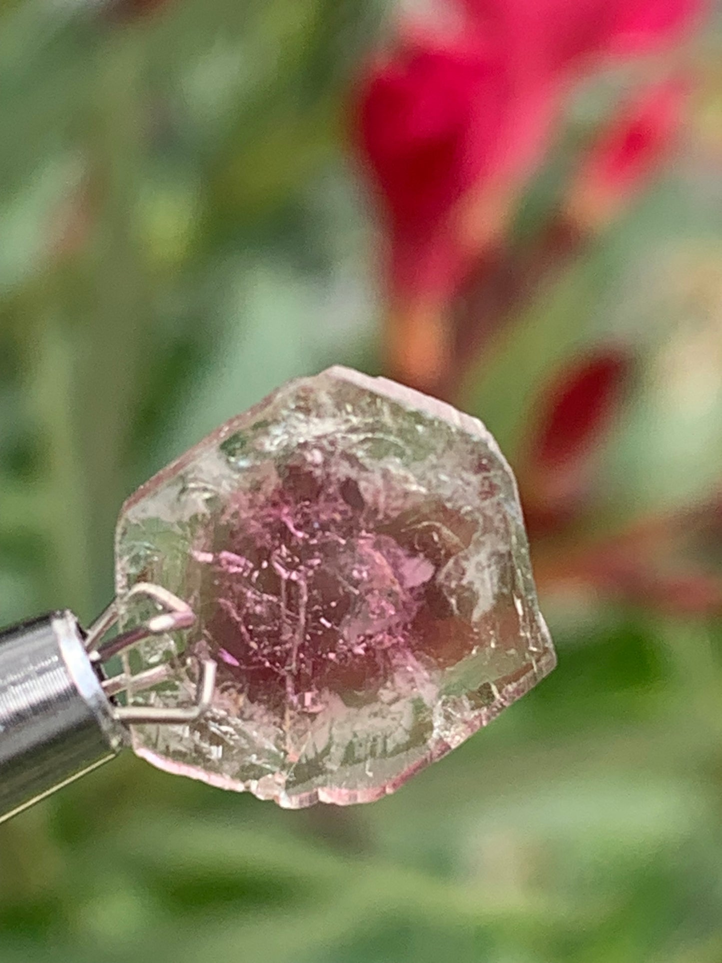 Tourmaline melon d'eau/ pastèque, vendu par paire, 14mm de diamètre x 2 - 8,5 carats. Parfait en bijouterie, collection ,exposition...