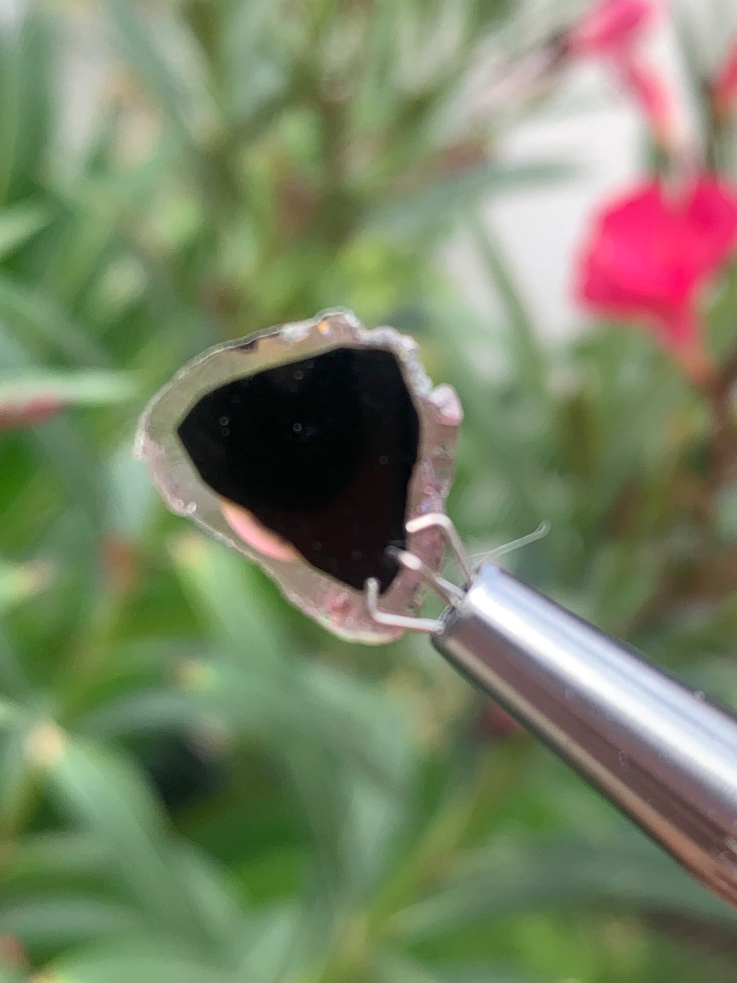 Tourmaline melon d'eau/ pastèque, vendu par paire, 15mm x 14 x 3 - 7 carats. Parfait en bijouterie, collection ,exposition...