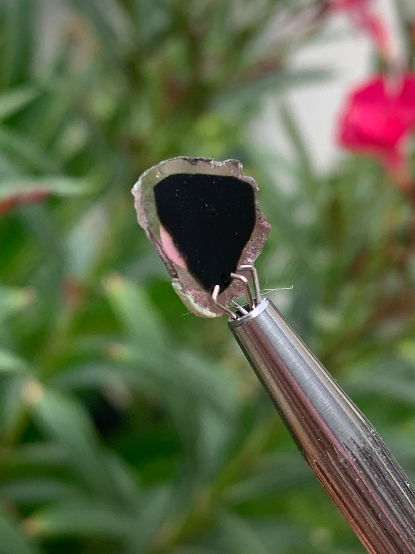 Tourmaline melon d'eau/ pastèque, vendu par paire, 15mm x 14 x 3 - 7 carats. Parfait en bijouterie, collection ,exposition...