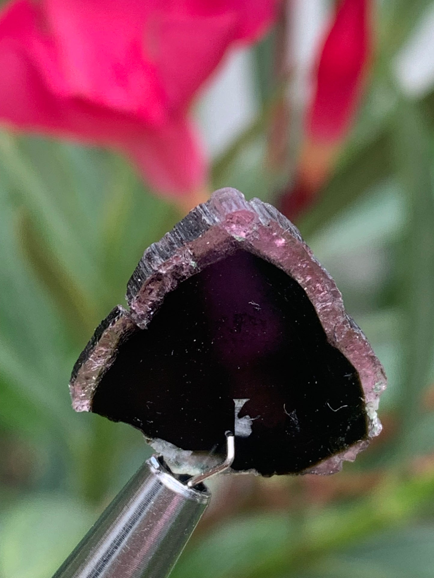 Tourmaline melon d'eau/ pastèque, 18mm x 16 x 4 - 10 carats. Parfait en bijouterie, collection ,exposition...