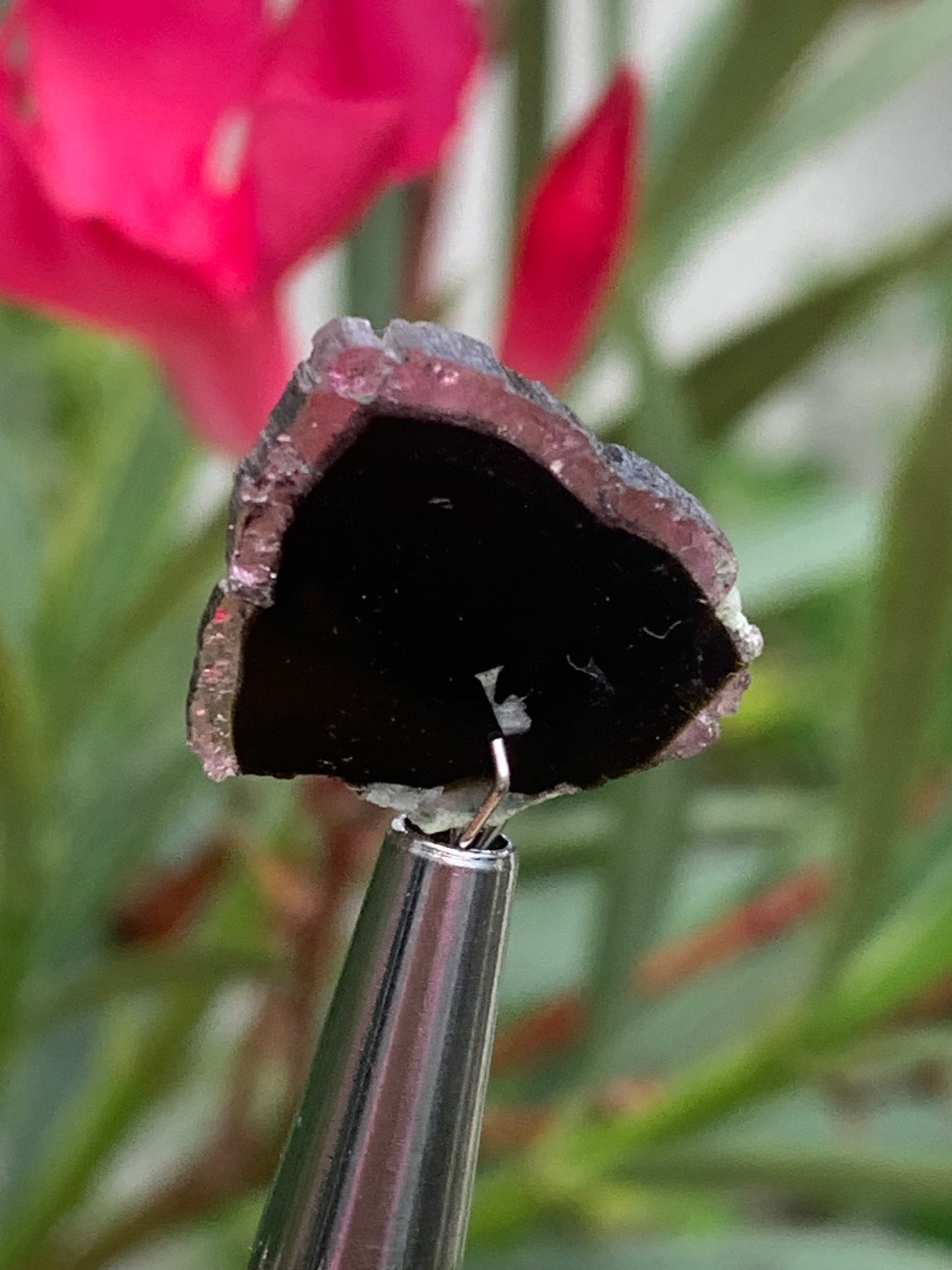 Tourmaline melon d'eau/ pastèque, 18mm x 16 x 4 - 10 carats. Parfait en bijouterie, collection ,exposition...