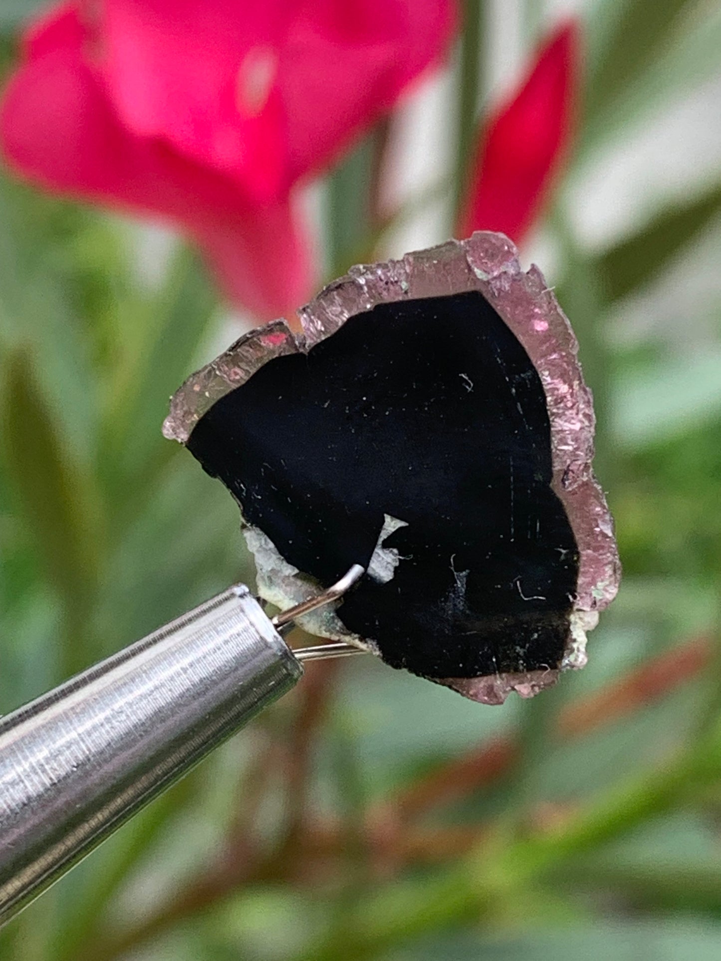Tourmaline melon d'eau/ pastèque, 18mm x 16 x 4 - 10 carats. Parfait en bijouterie, collection ,exposition...