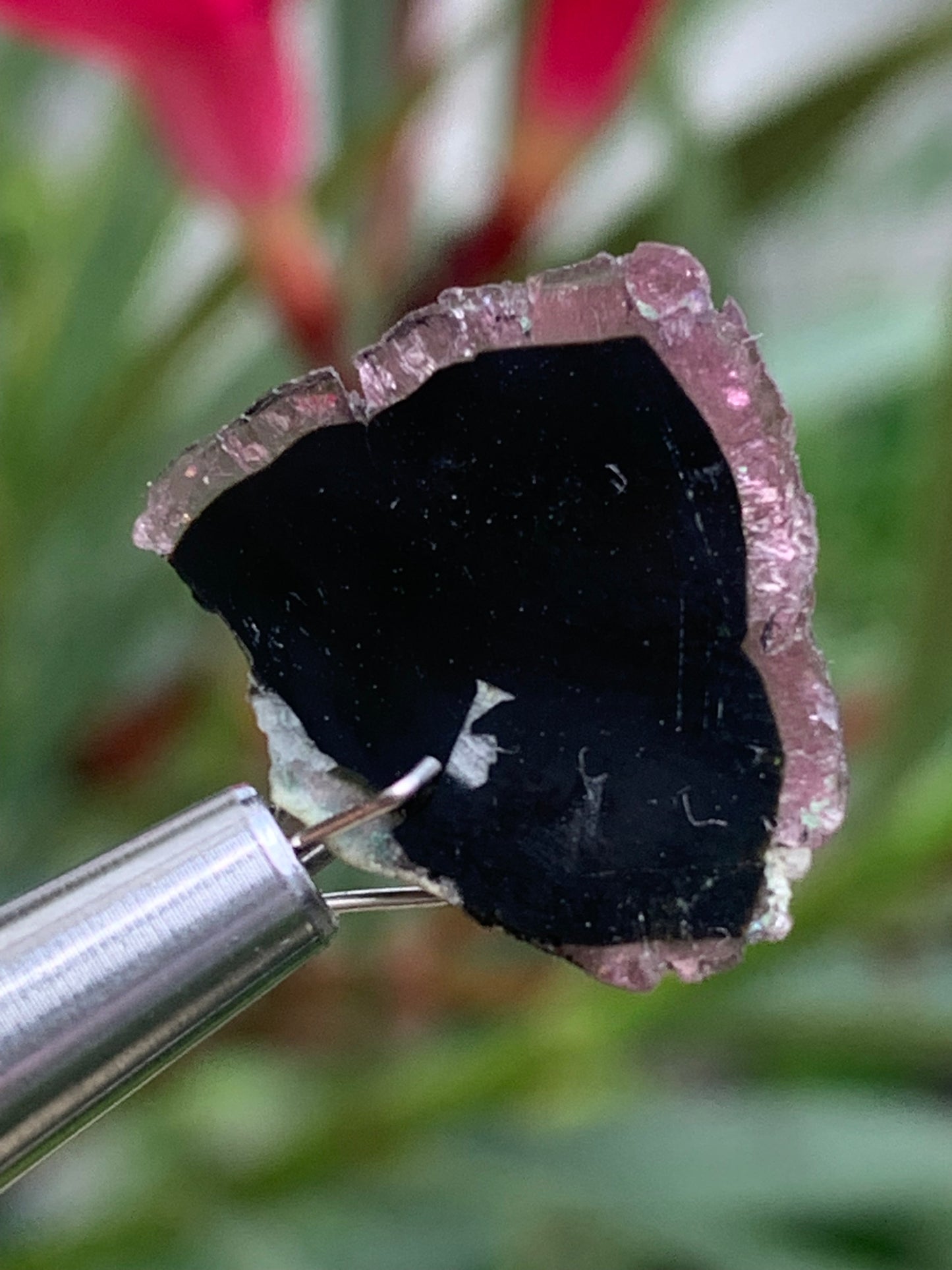 Tourmaline melon d'eau/ pastèque, 18mm x 16 x 4 - 10 carats. Parfait en bijouterie, collection ,exposition...