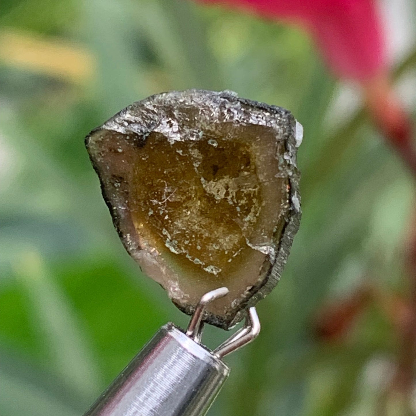 Tourmaline Dravite (brune), vendu par paire, 14mm x 12 x 3 - 10 carats. Parfait en bijouterie, collection ,exposition...