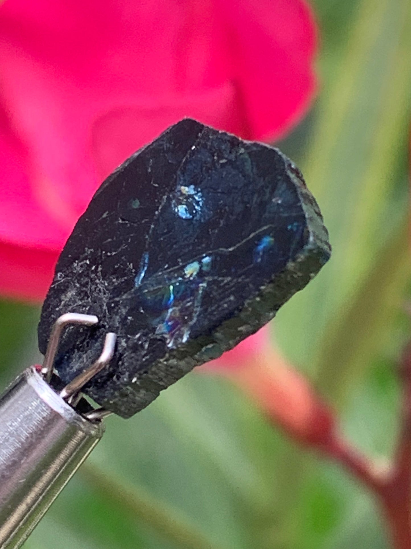 Tourmaline/ Indicolite, de 14mm x11 x 3 environ - 4,5 carats. Parfait en bijouterie, collection ,exposition...