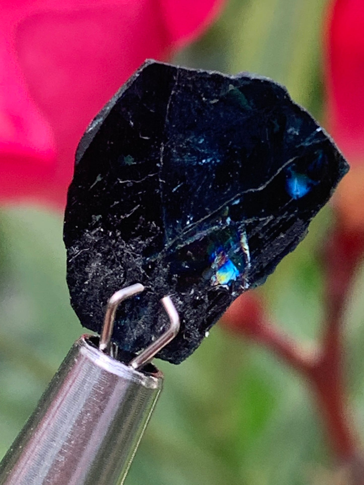 Tourmaline/ Indicolite, de 14mm x11 x 3 environ - 4,5 carats. Parfait en bijouterie, collection ,exposition...