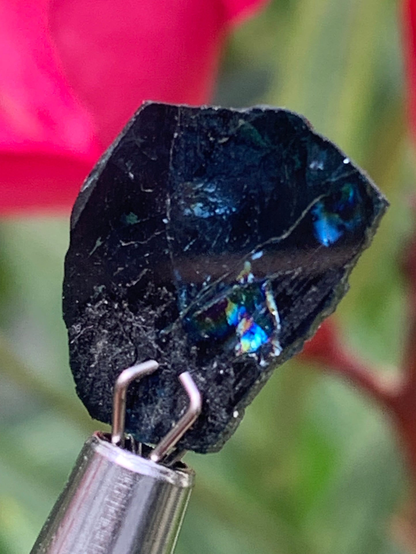 Tourmaline/ Indicolite, de 14mm x11 x 3 environ - 4,5 carats. Parfait en bijouterie, collection ,exposition...
