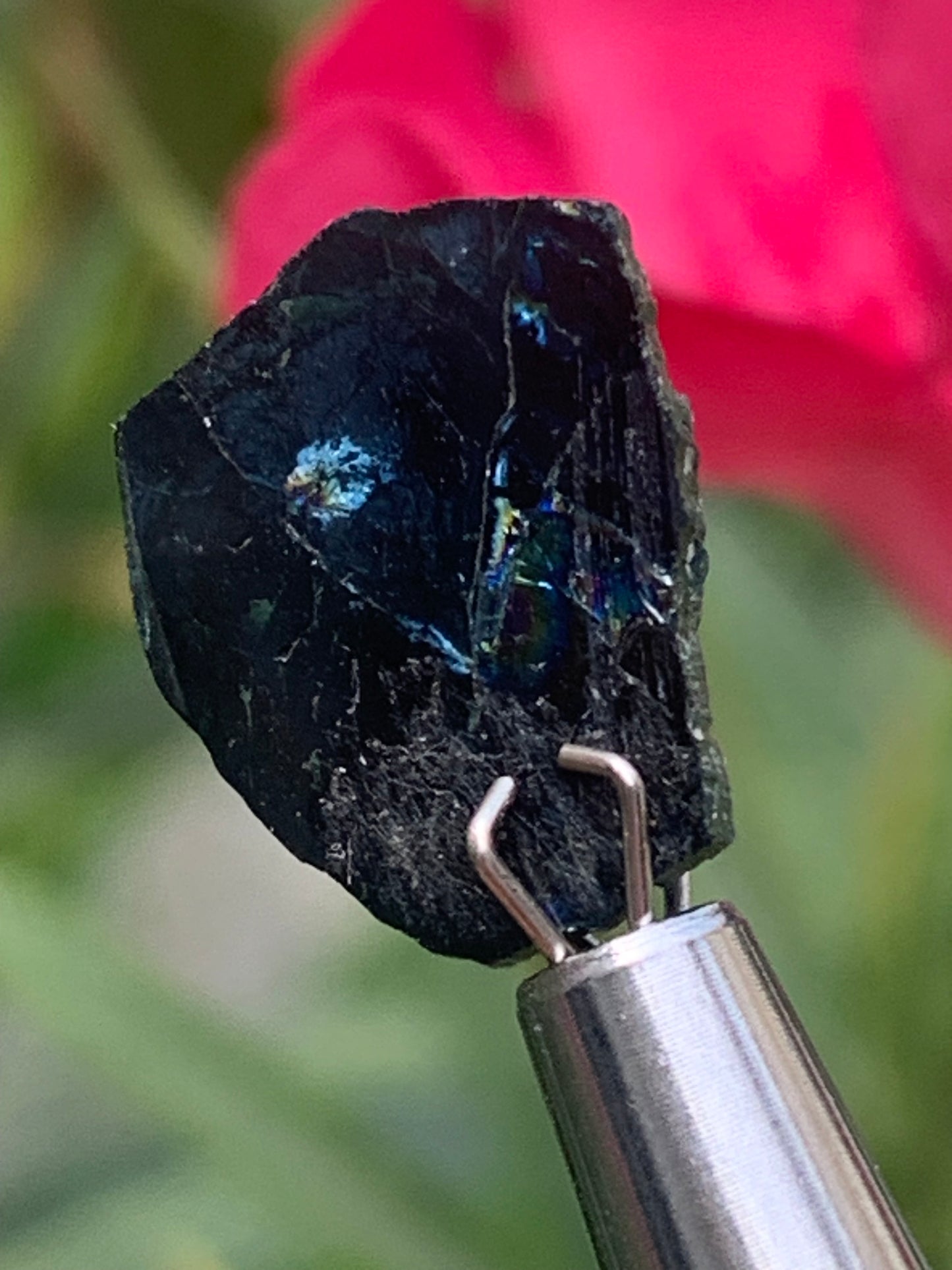 Tourmaline/ Indicolite, de 14mm x11 x 3 environ - 4,5 carats. Parfait en bijouterie, collection ,exposition...