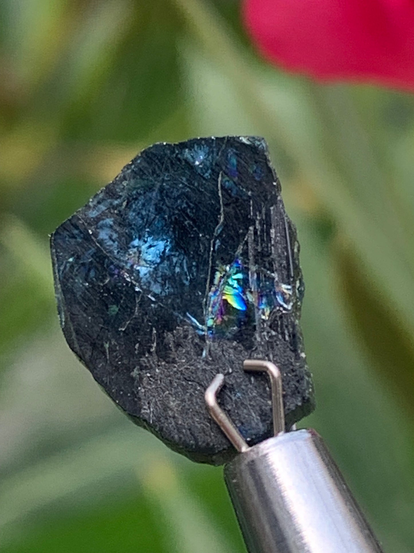 Tourmaline/ Indicolite, de 14mm x11 x 3 environ - 4,5 carats. Parfait en bijouterie, collection ,exposition...