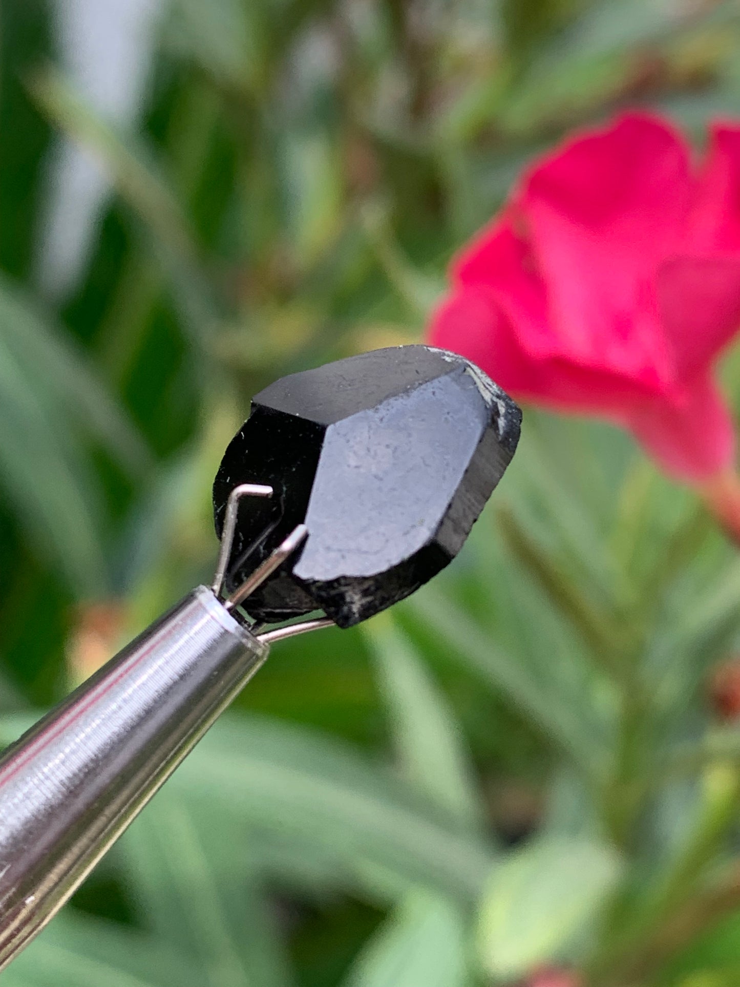 Tourmaline noire, tranches naturelles/ cabochons à 3 faces, 3 pièces au choix, de 14 x 14 x 5 mm - 1,2 à 1,7 gramme par pièce !