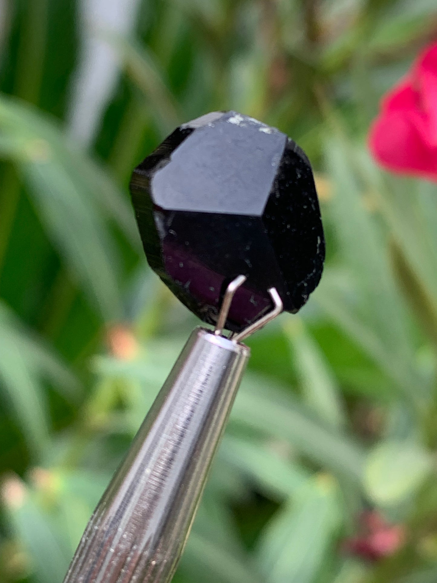 Tourmaline noire, tranches naturelles/ cabochons à 3 faces, 3 pièces au choix, de 14 x 14 x 5 mm - 1,2 à 1,7 gramme par pièce !