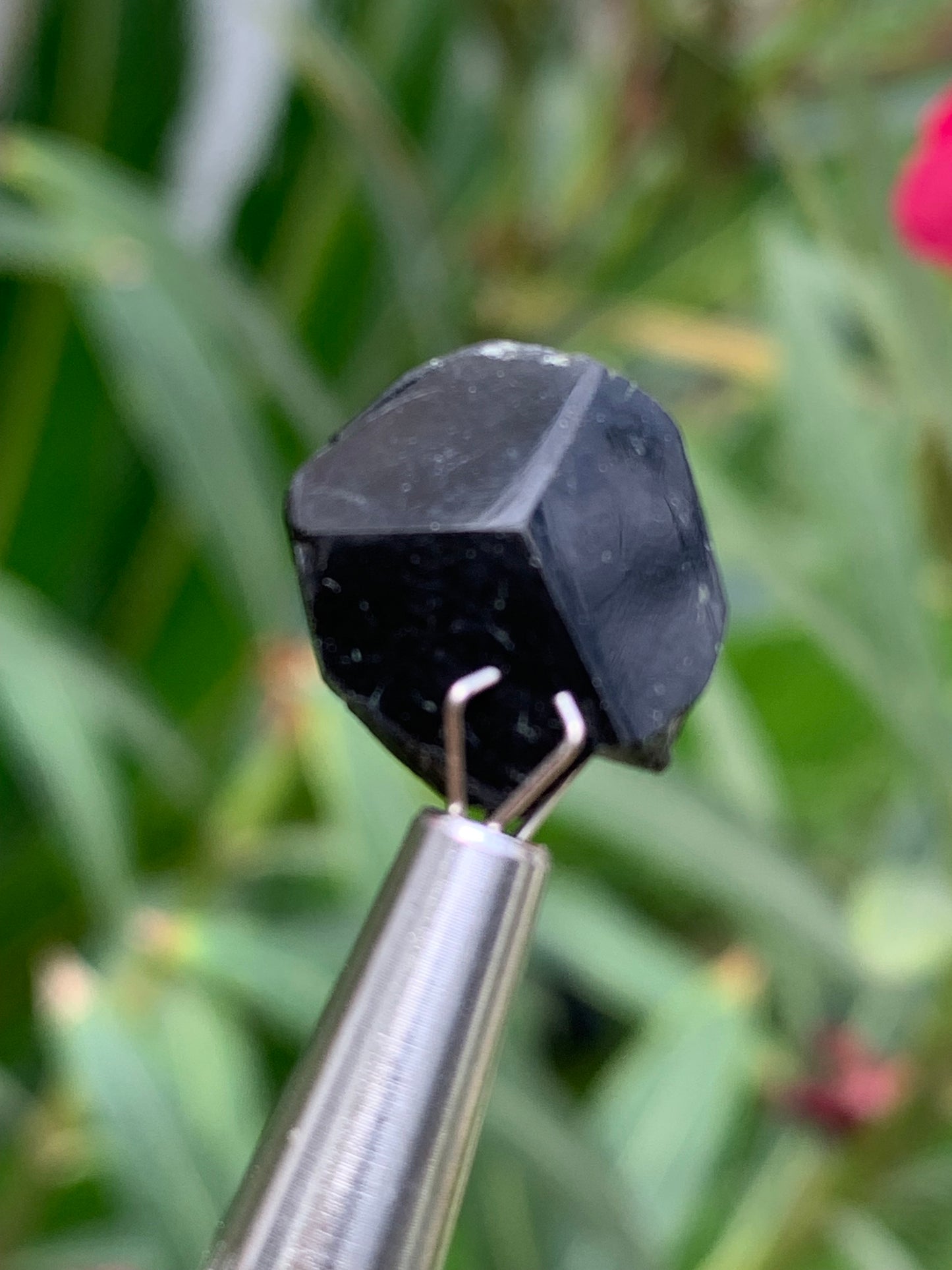 Tourmaline noire, tranches naturelles/ cabochons à 3 faces, 3 pièces au choix, de 14 x 14 x 5 mm - 1,2 à 1,7 gramme par pièce !
