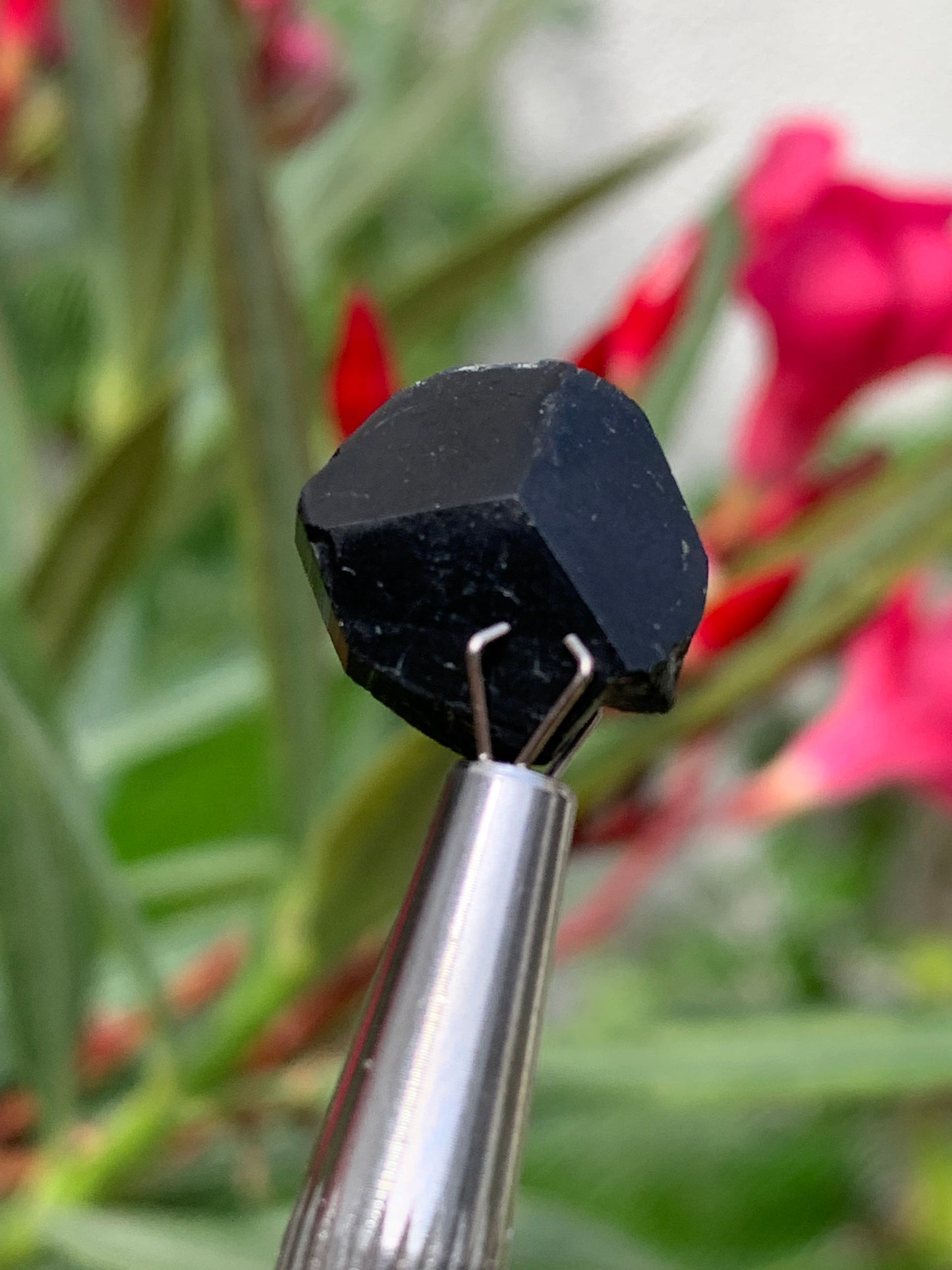 Tourmaline noire, tranches naturelles/ cabochons à 3 faces, 3 pièces au choix, de 14 x 14 x 5 mm - 1,2 à 1,7 gramme par pièce !