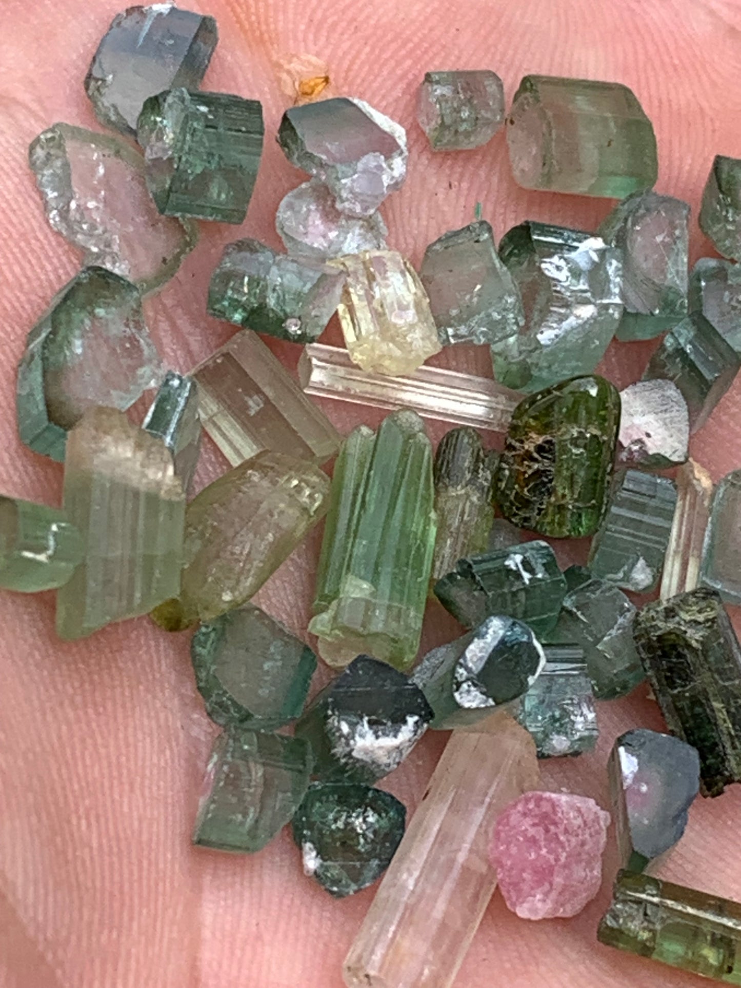 Tourmaline diverses (Verdélite, Indicolite, Melon d'eau), lot de 46 pièces de 3 à 16 mm - 10 grammes.