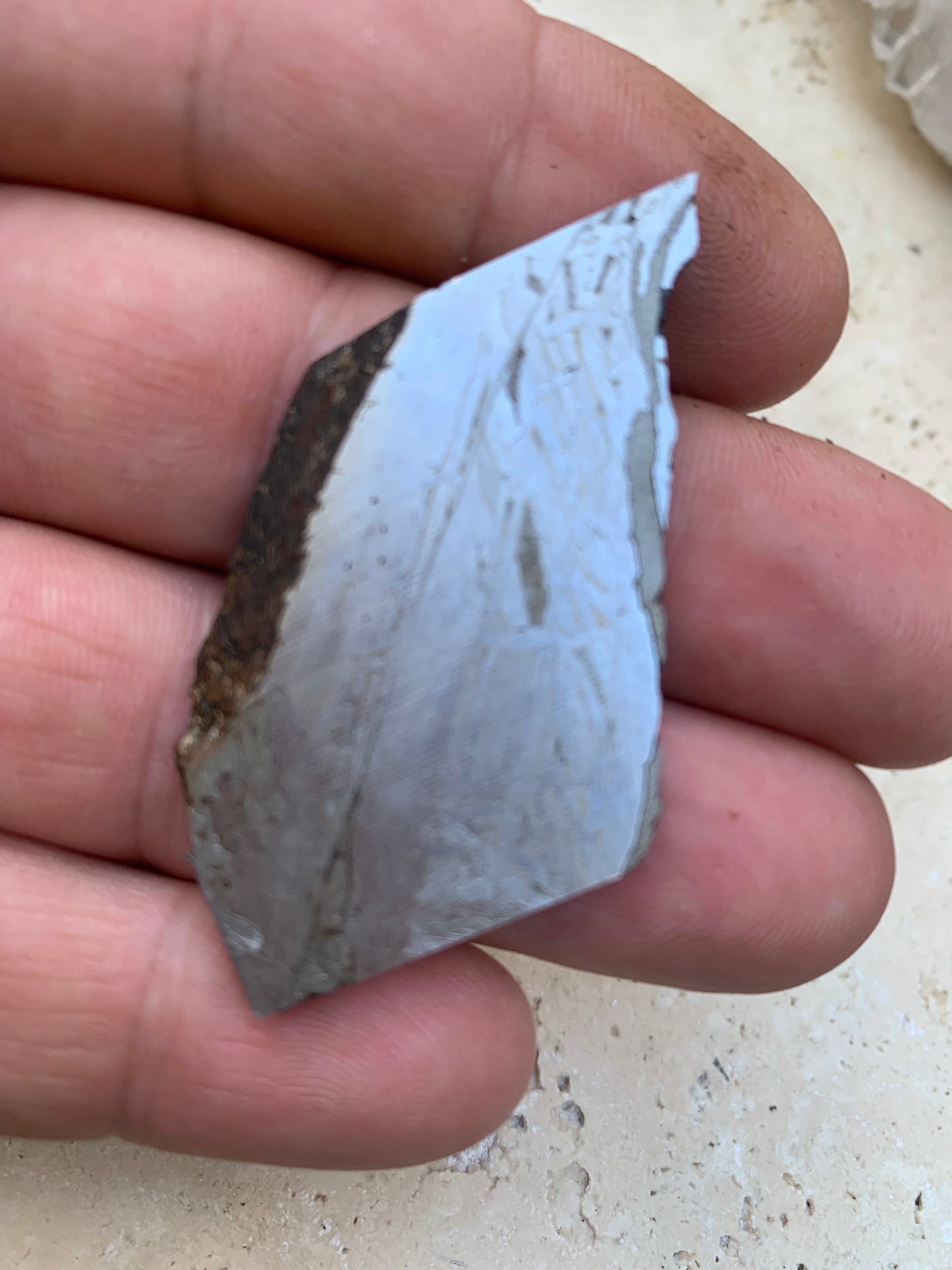 Météorite 'Muonionalusta', de 20 grammes, de type IVA, qui s'est écrasée dans le nord de la Scandinavie, à l'ouest de la frontière entre la Suède et la Finlande, environ 1 million d'années ...!