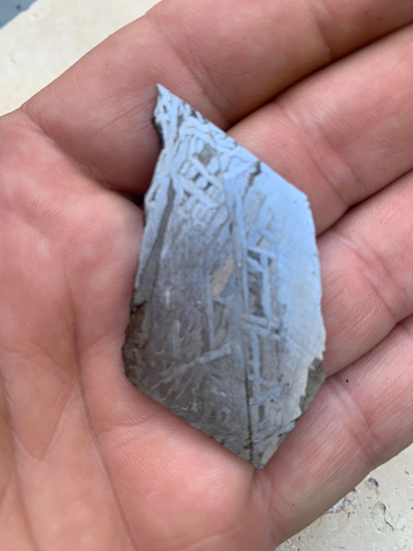Météorite 'Muonionalusta', de 20 grammes, de type IVA, qui s'est écrasée dans le nord de la Scandinavie, à l'ouest de la frontière entre la Suède et la Finlande, environ 1 million d'années ...!