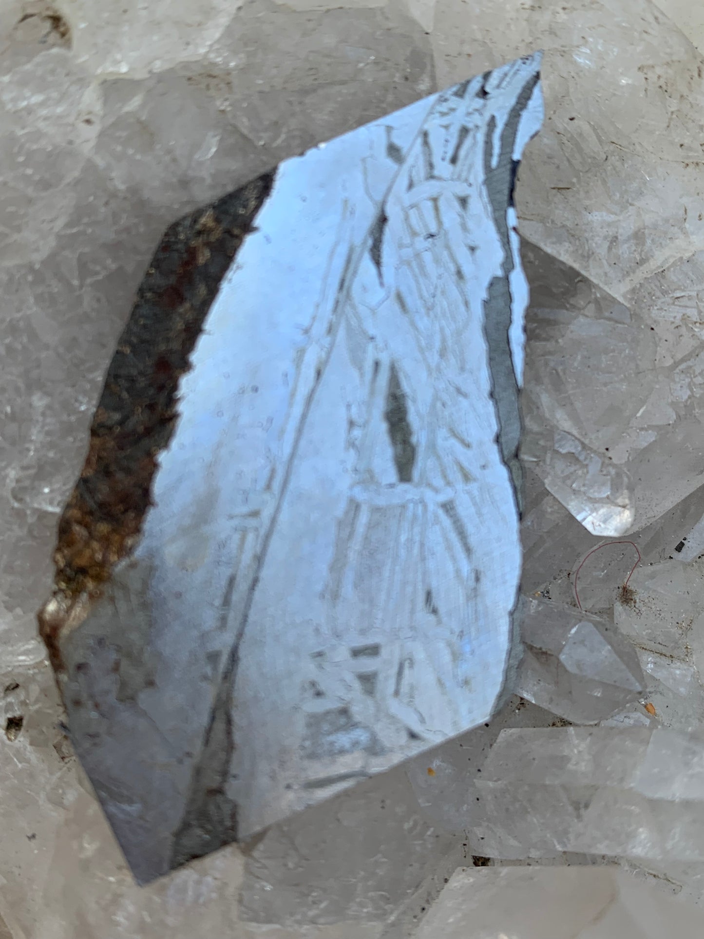 Météorite 'Muonionalusta', de 20 grammes, de type IVA, qui s'est écrasée dans le nord de la Scandinavie, à l'ouest de la frontière entre la Suède et la Finlande, environ 1 million d'années ...!