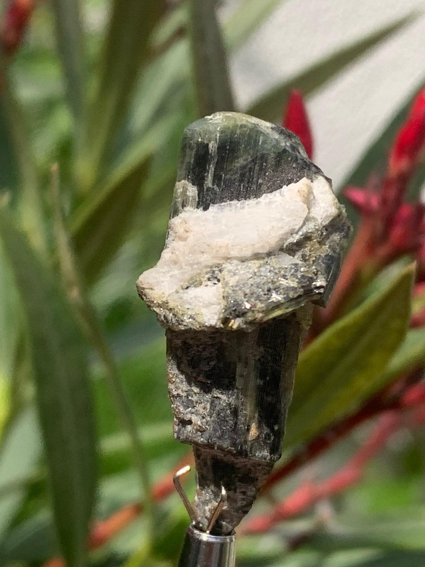 Tourmaline verte/ Verdélite, cristal naturel de 37 x 17 x 15 mm - 9,6 grammes. Magnifique petite pièce !