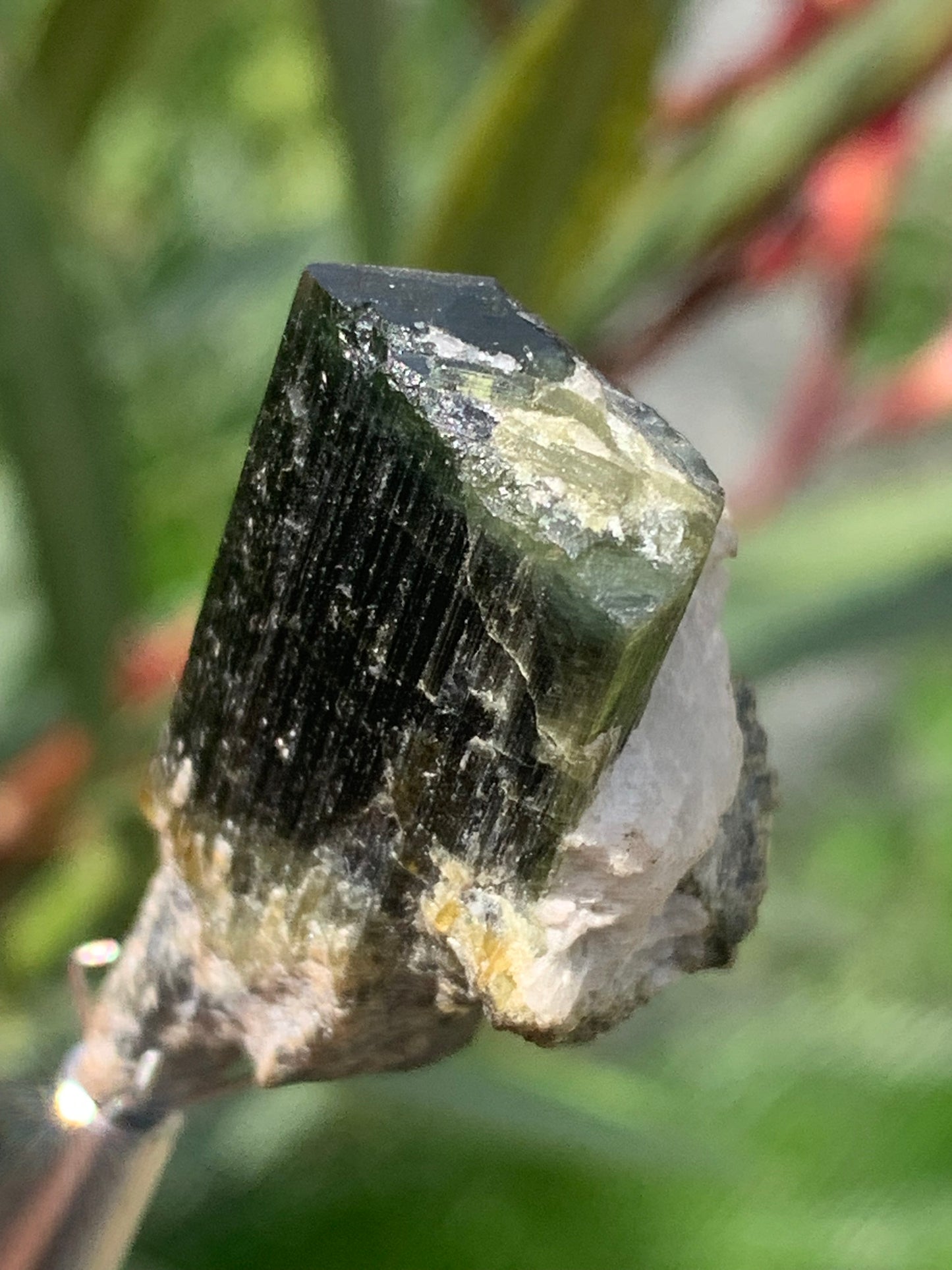 Tourmaline verte/ Verdélite, cristal naturel de 37 x 17 x 15 mm - 9,6 grammes. Magnifique petite pièce !