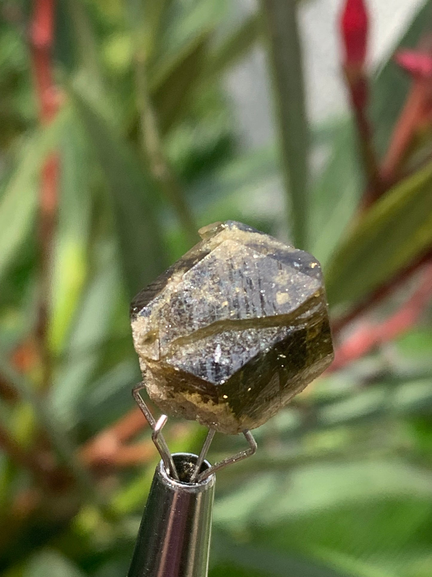 Tourmaline verte/ Verdélite, cristal naturel de 15 x 12 x 10 mm - 2,7 grammes. Magnifique cristal au vert cristal !