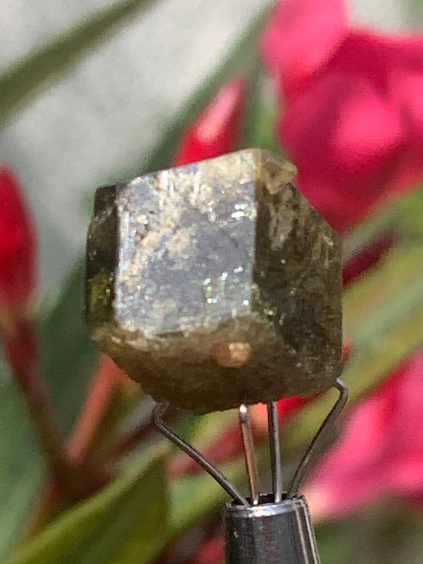 Tourmaline verte/ Verdélite, cristal naturel de 15 x 12 x 10 mm - 2,7 grammes. Magnifique cristal au vert cristal !