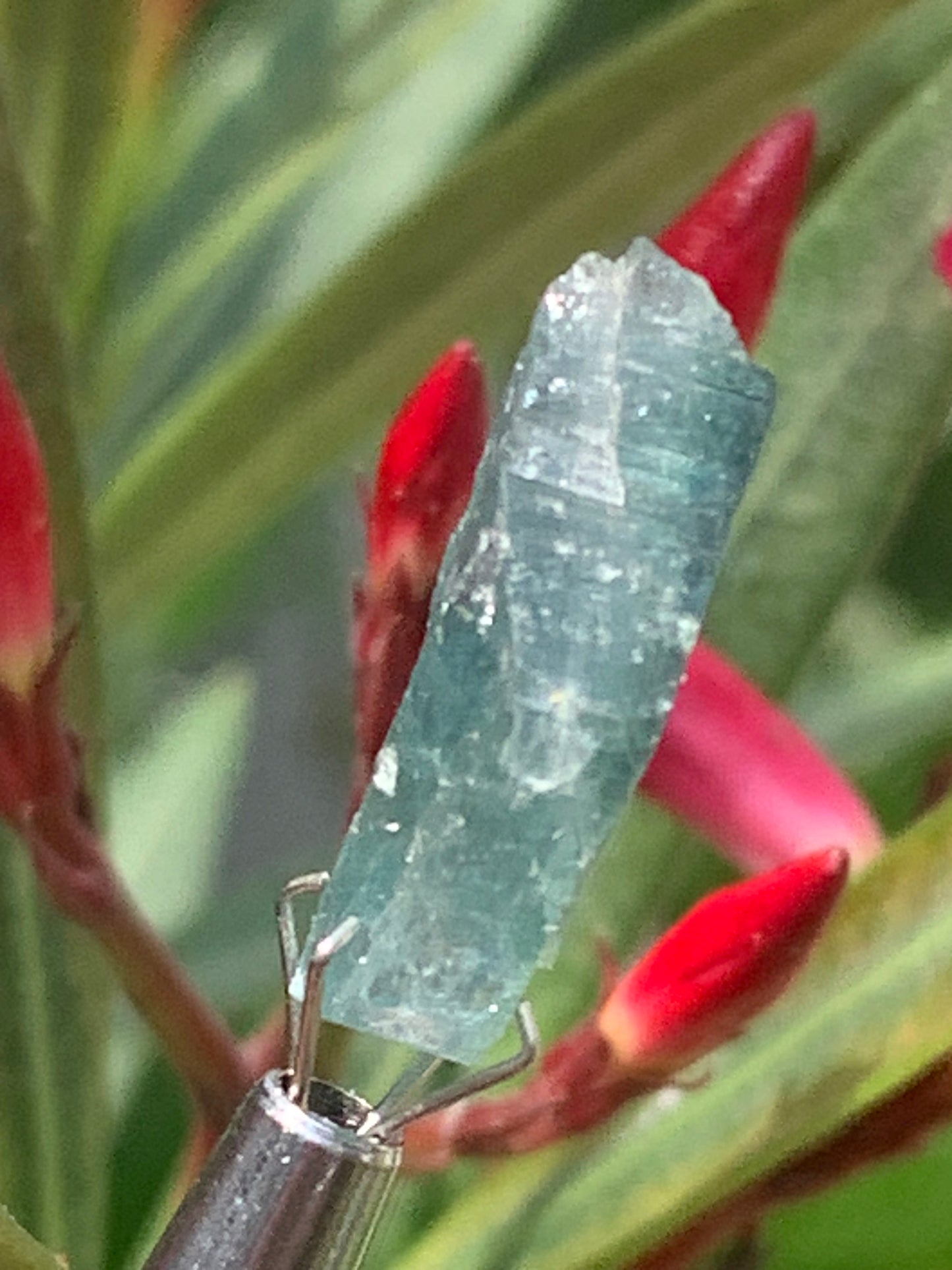 Tourmaline/ Indicolite, de 23mm x 15 x 6 environ - 3 grammes. Parfait en bijouterie, collection ,exposition...