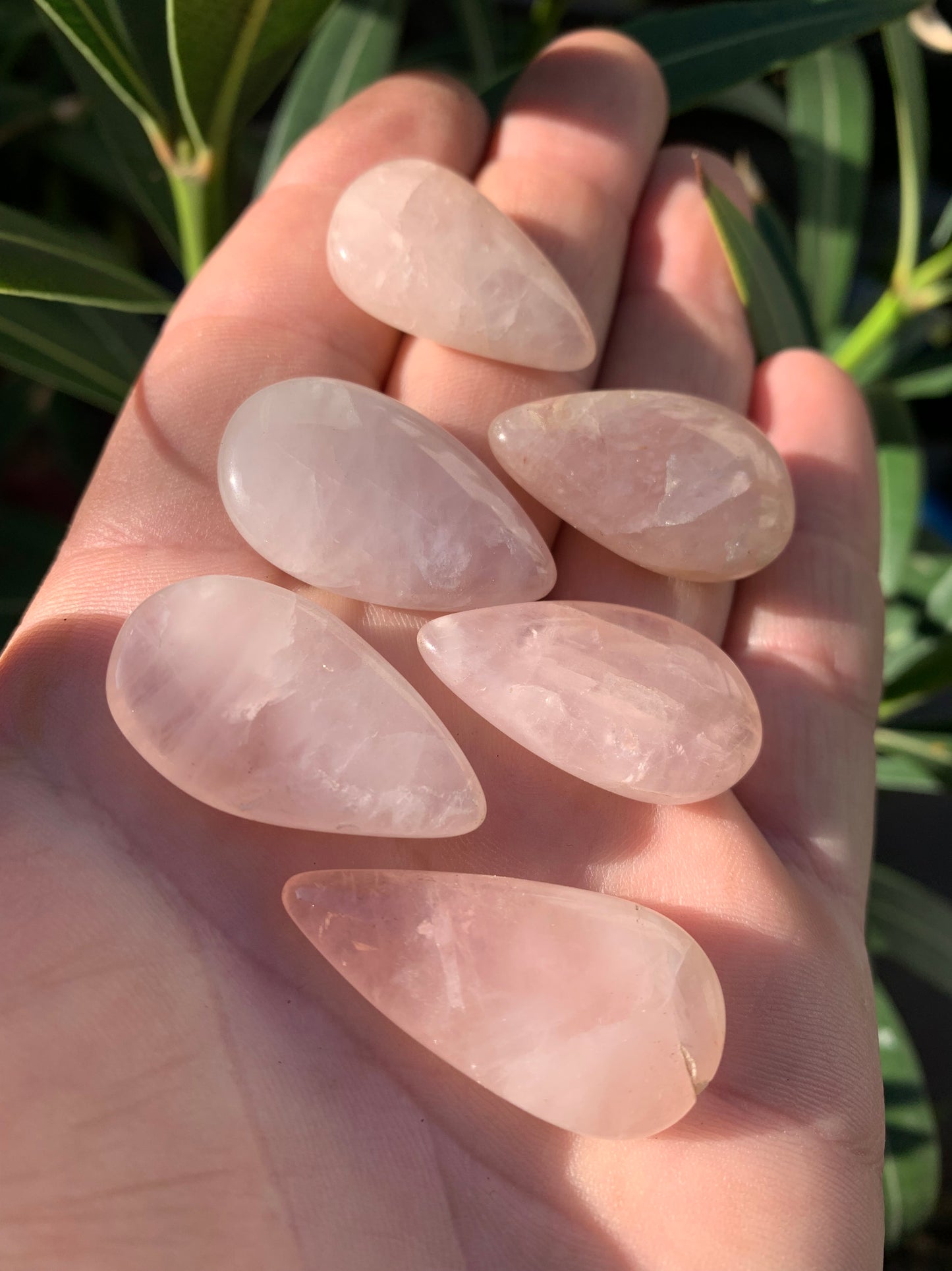 Quartz Rose, cabochon 'goutte', qualité A à AA, 30 x 20 x 8 mm environ, parfait pour la bijouterie, collection, lithothérapie...