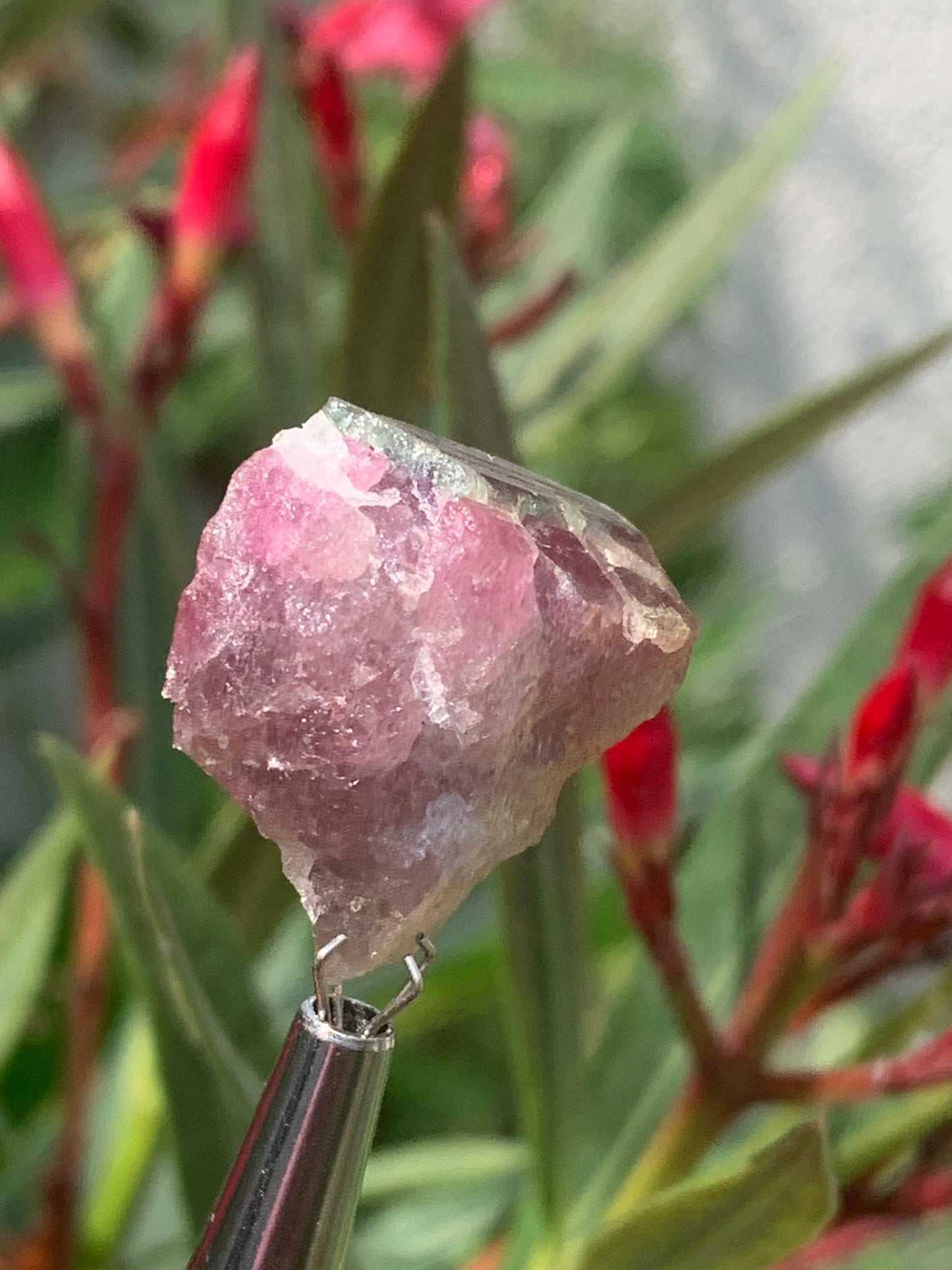 Rubellite Tourmaline, 24 x 20 x 13mm - 7.3 grams. A beautiful natural piece!