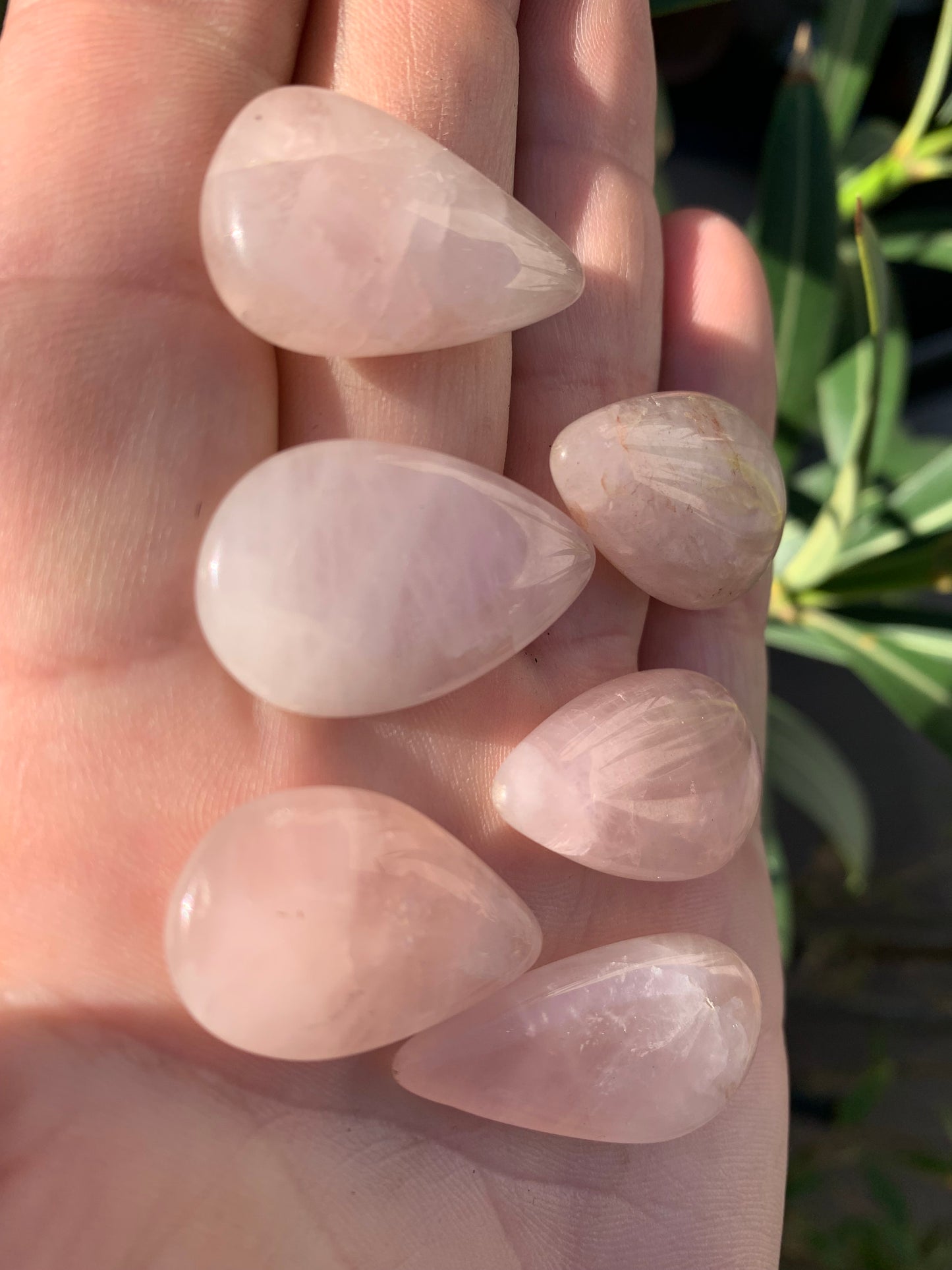 Quartz Rose, cabochon 'goutte', qualité A à AA, 30 x 20 x 8 mm environ, parfait pour la bijouterie, collection, lithothérapie...