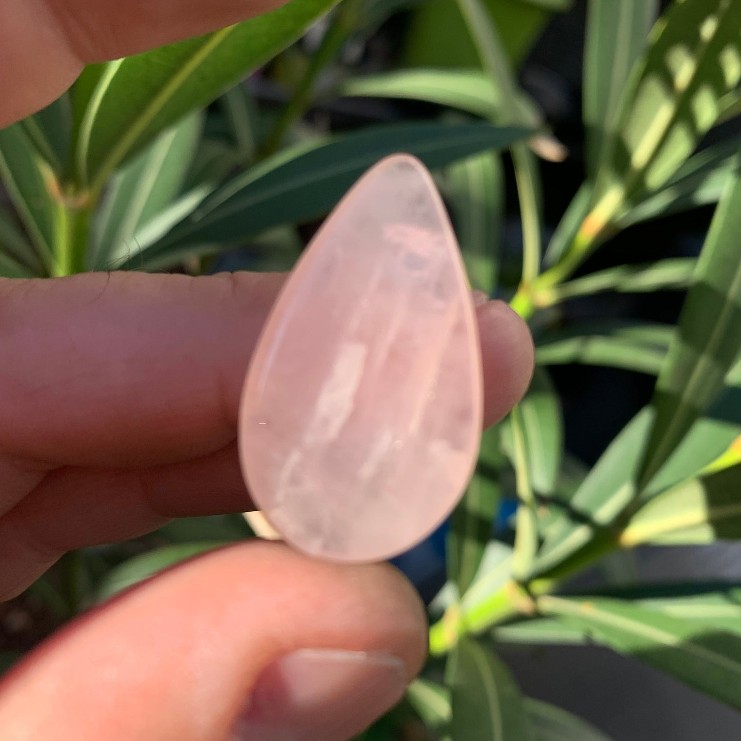 Quartz Rose, cabochon 'goutte', qualité A à AA, 30 x 20 x 8 mm environ, parfait pour la bijouterie, collection, lithothérapie...