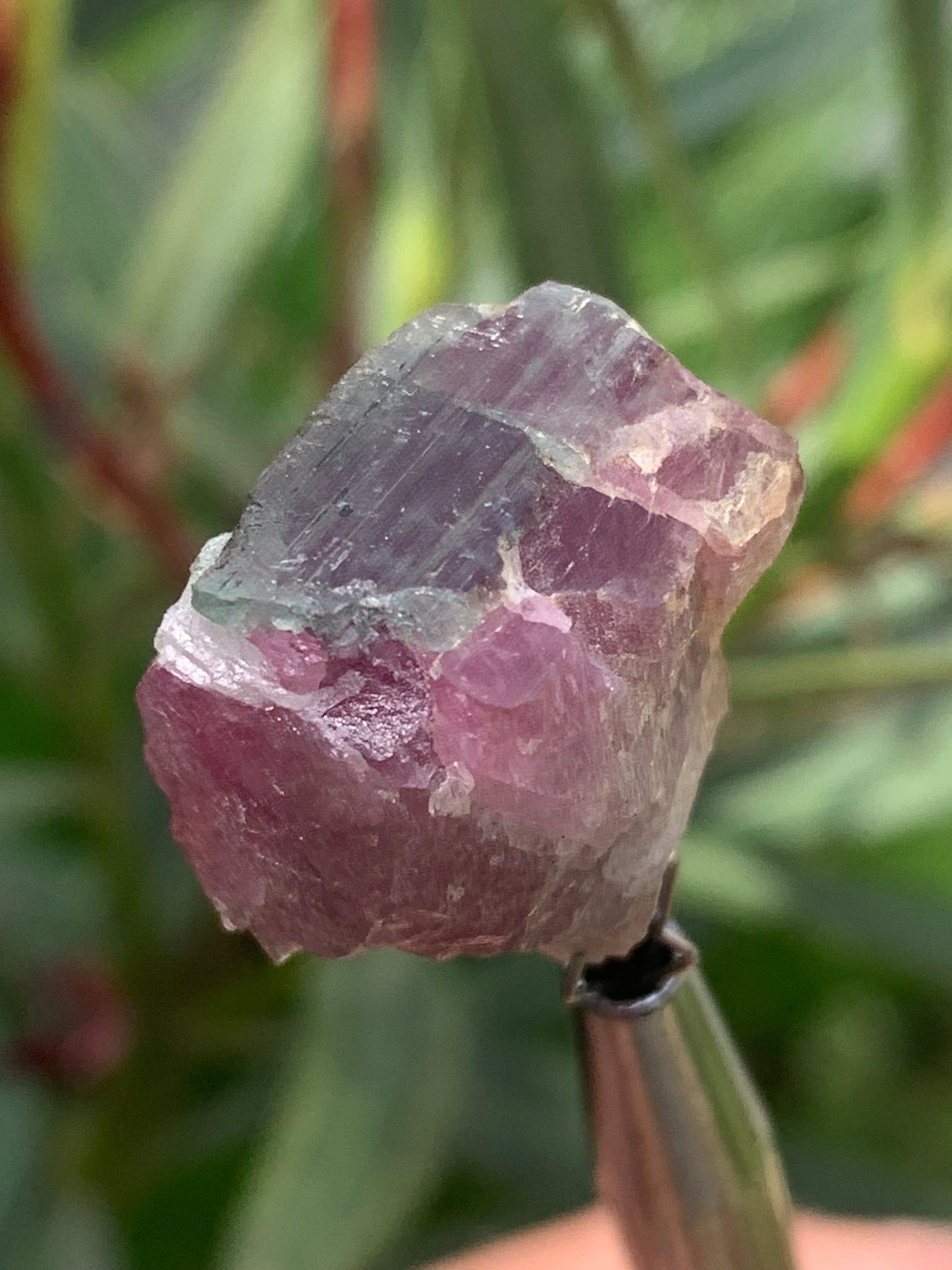 Rubellite Tourmaline, 24 x 20 x 13mm - 7.3 grams. A beautiful natural piece!