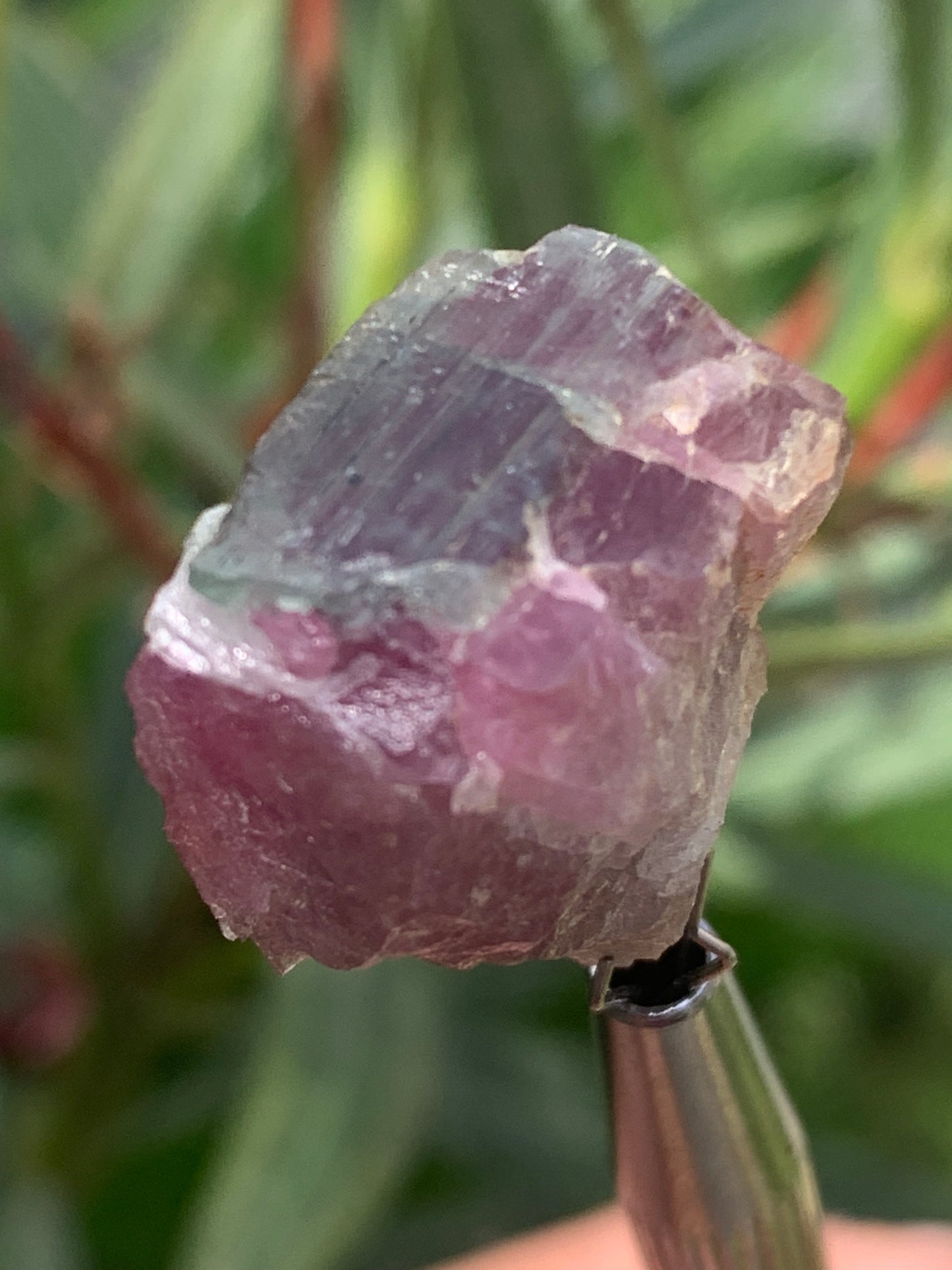 Rubellite Tourmaline, 24 x 20 x 13mm - 7.3 grams. A beautiful natural piece!