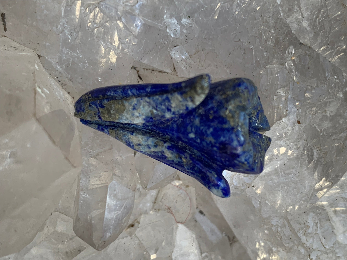 Lapis lazuli, pièce unique d'une fleur sculptée, qualité AA à AAA, 30mm x 18 de diamètre environ, parfait pour la bijouterie ou collection !
