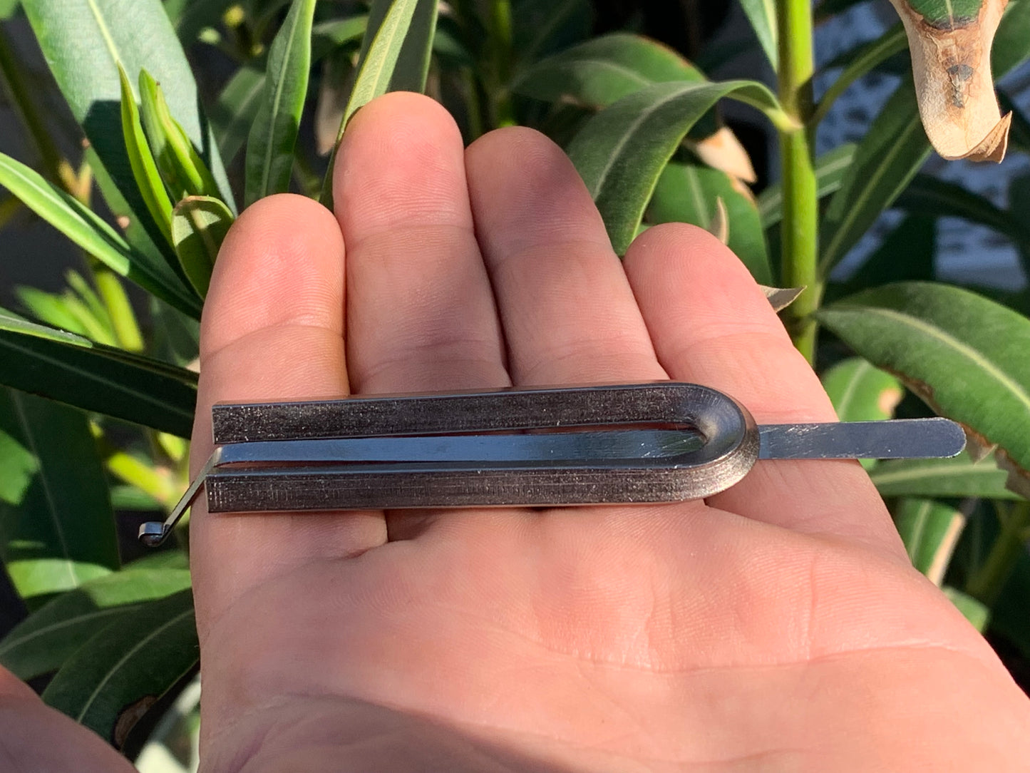 Timartsev Jew's harp from the Altai Mountains of Russia. 'Pro' models, very durable! 3 tunings to choose from - Length 6.5 cm, width 3.0 cm - Easy to play!