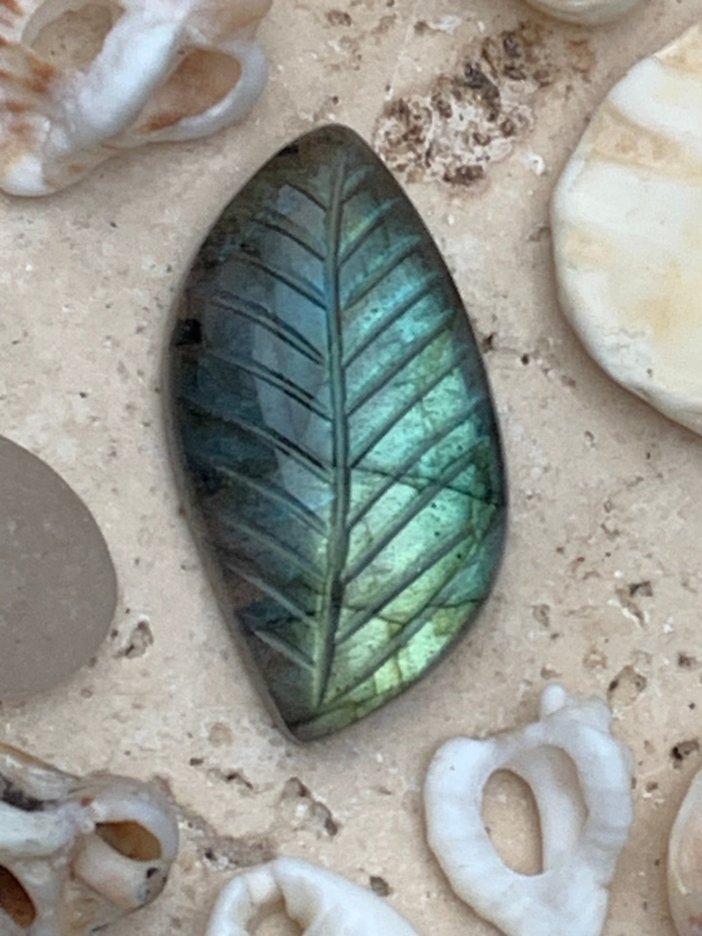 Labradorite, engraved cabochon of 32mm x 16 x 7. AA to AAA quality, perfect for mounting in jewelry or collection!