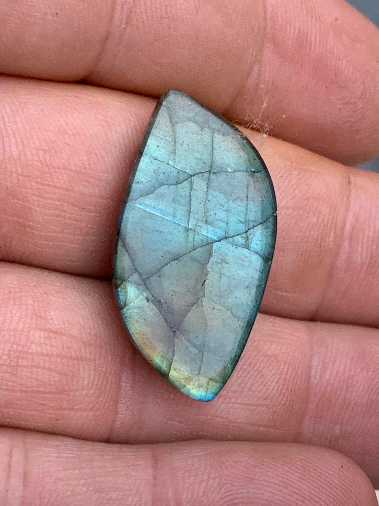 Labradorite, engraved cabochon of 32mm x 16 x 7. AA to AAA quality, perfect for mounting in jewelry or collection!