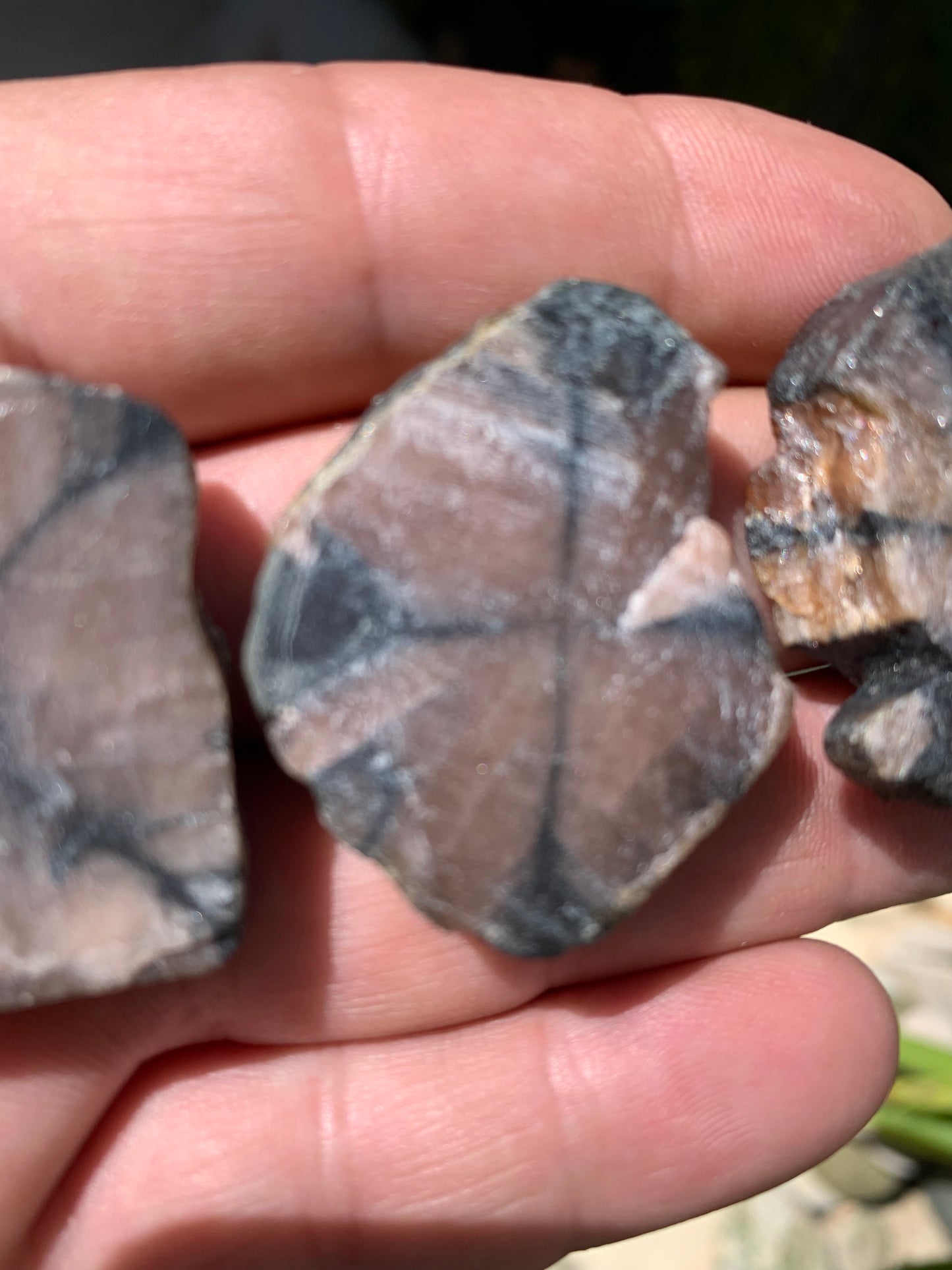 Andalousite/ Chiastolite, 5 pièces au choix dont 4 sciés avec une croix naturelle ! Protection, ancrage, transmutation, harmonie et plus encore !