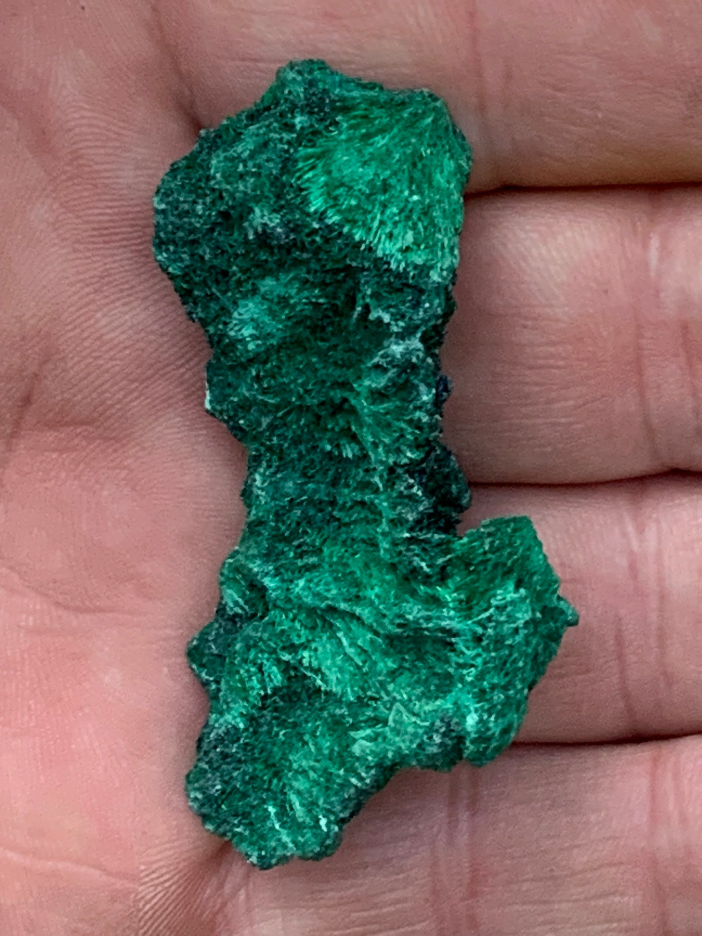 Malachite fibreuse, spécimen brut du Congo de 22,3 grammes. Parfait pour une collection ou la bijouterie, du velour naturel !