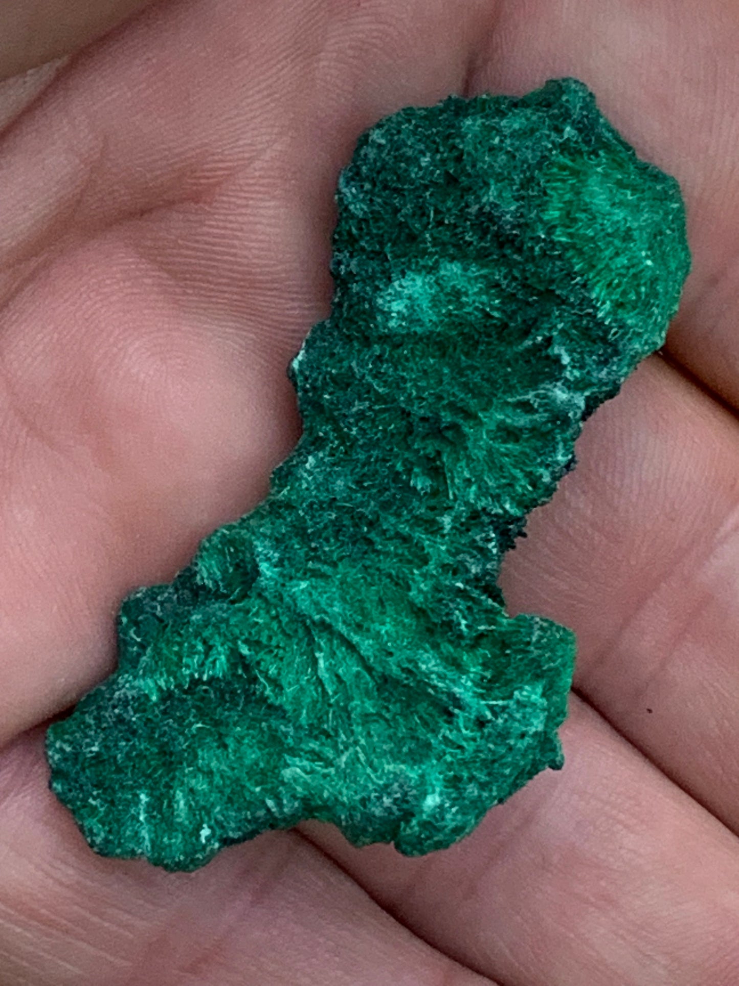 Malachite fibreuse, spécimen brut du Congo de 22,3 grammes. Parfait pour une collection ou la bijouterie, du velour naturel !